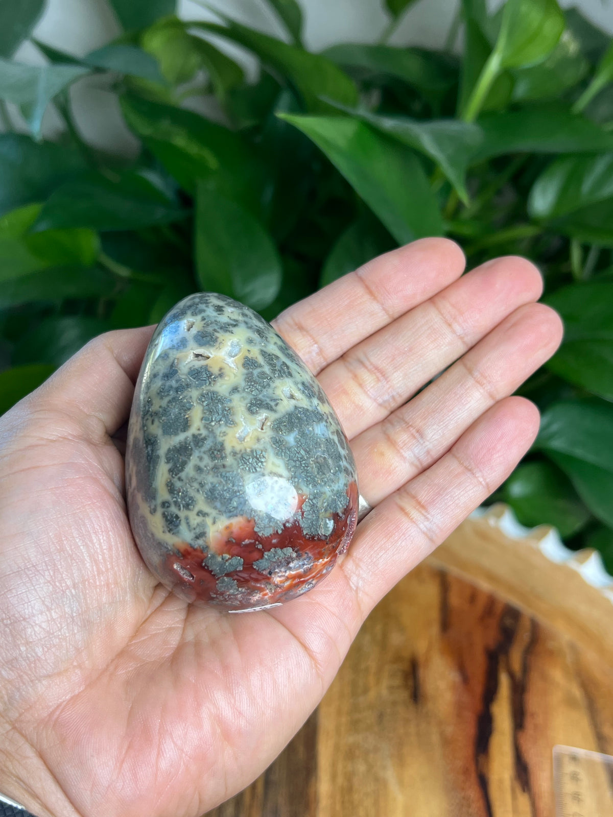 Marcasite Egg: LE