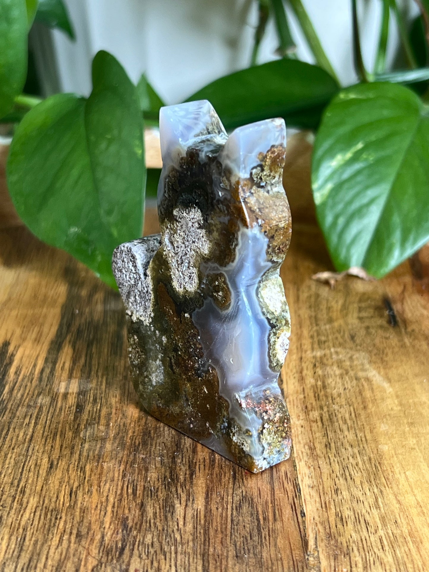 Scenic Moss Agate Cat HD