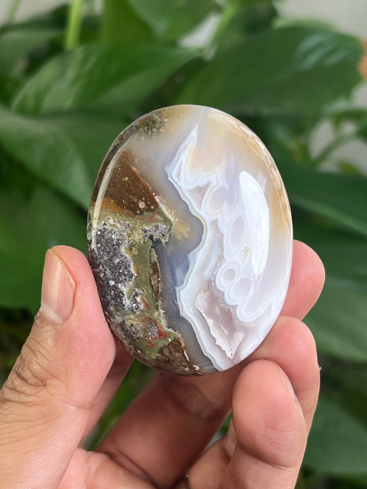 Scenic Moss Agate Palmstone: PD
