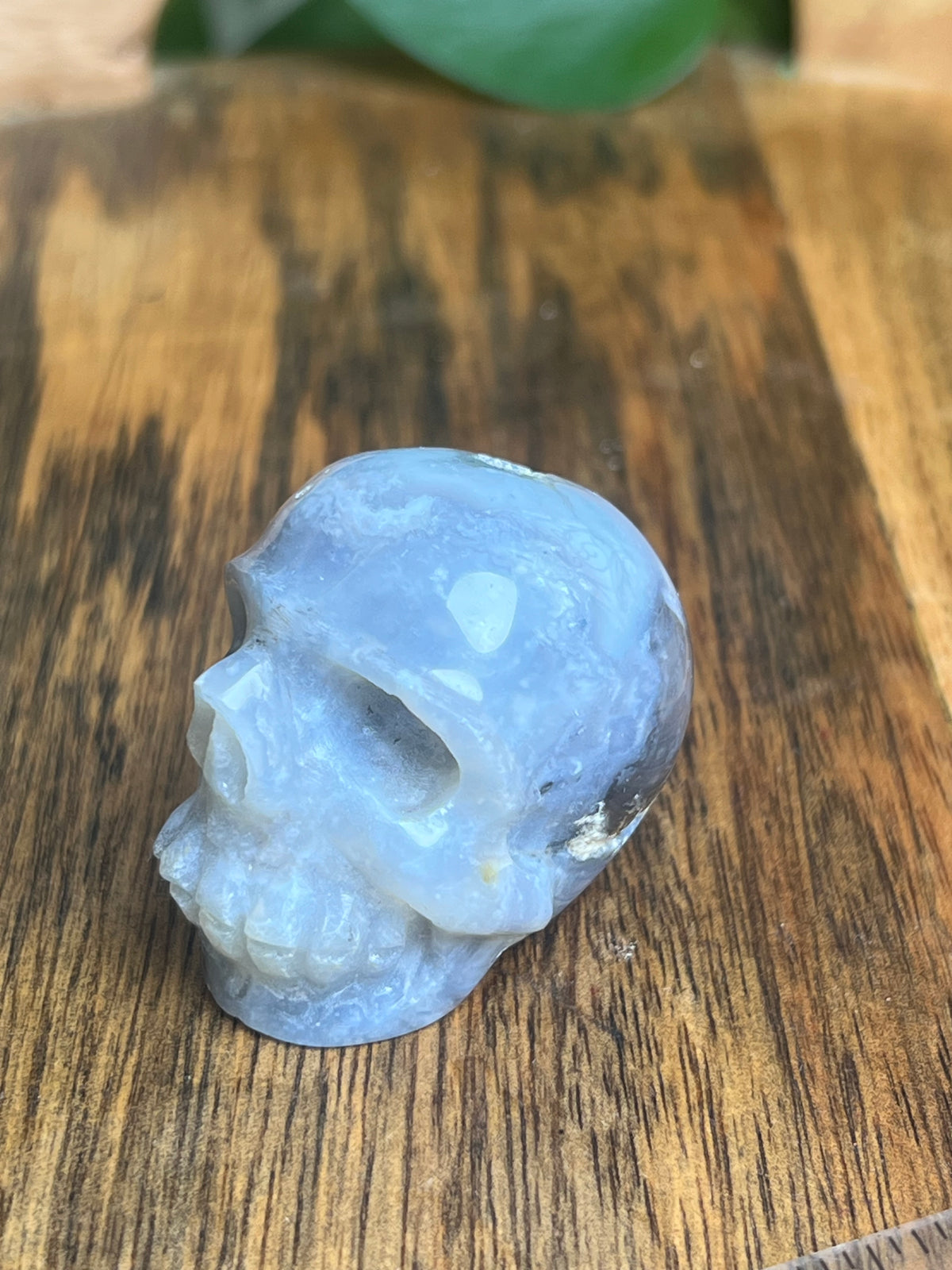 Blue Plume Agate Skull: G