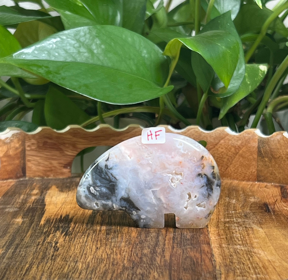 Rainbow Plume Agate Bears