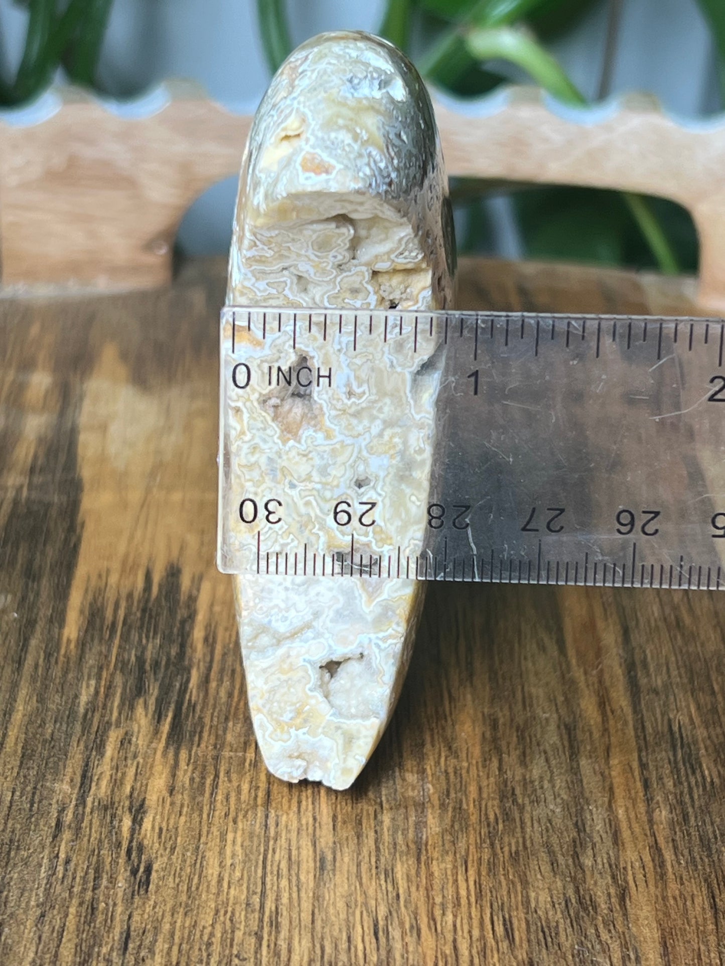 Yellow Crazy Lace Agate Moon
