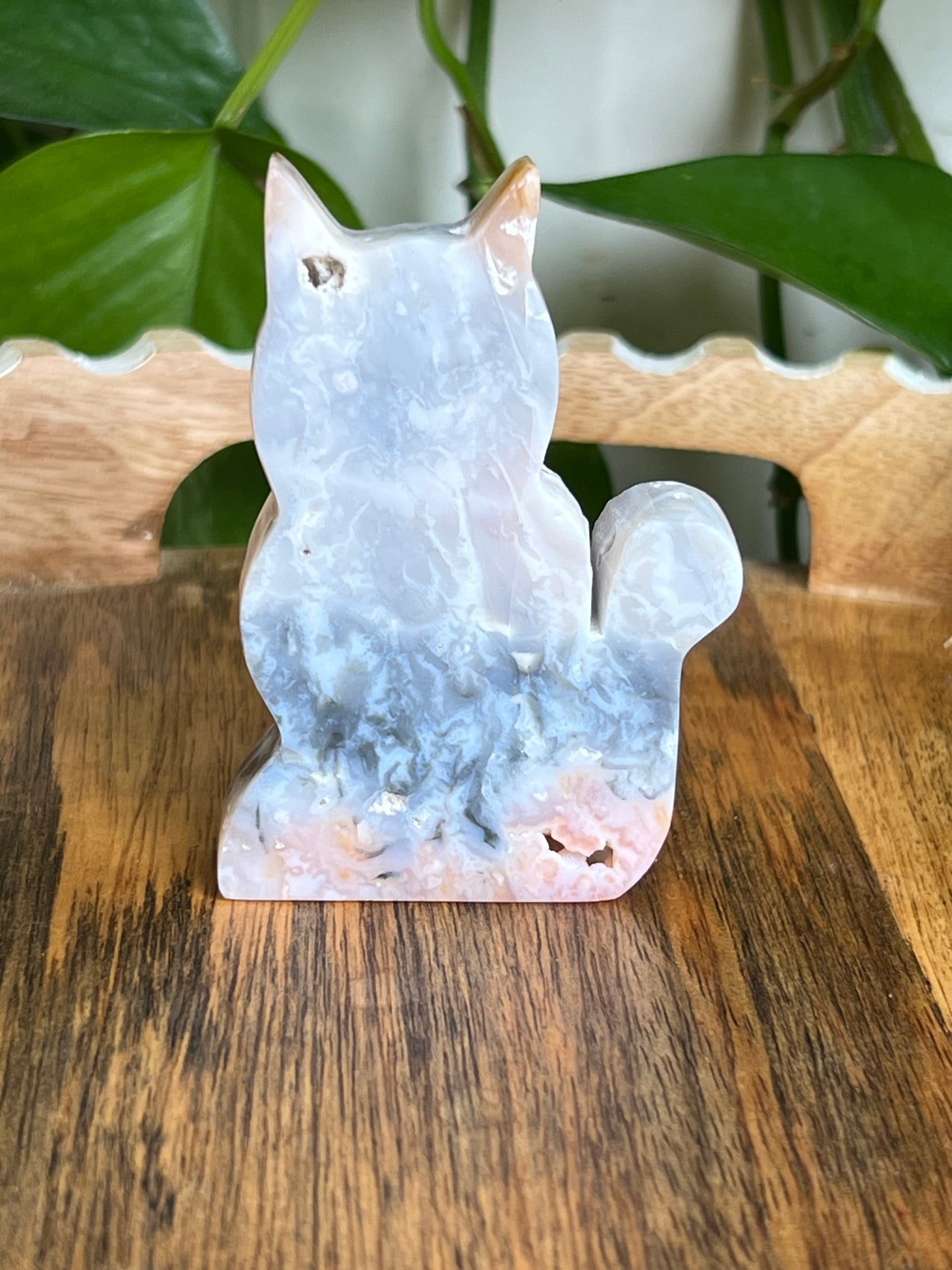 Rainbow Plume Agate Cat NG