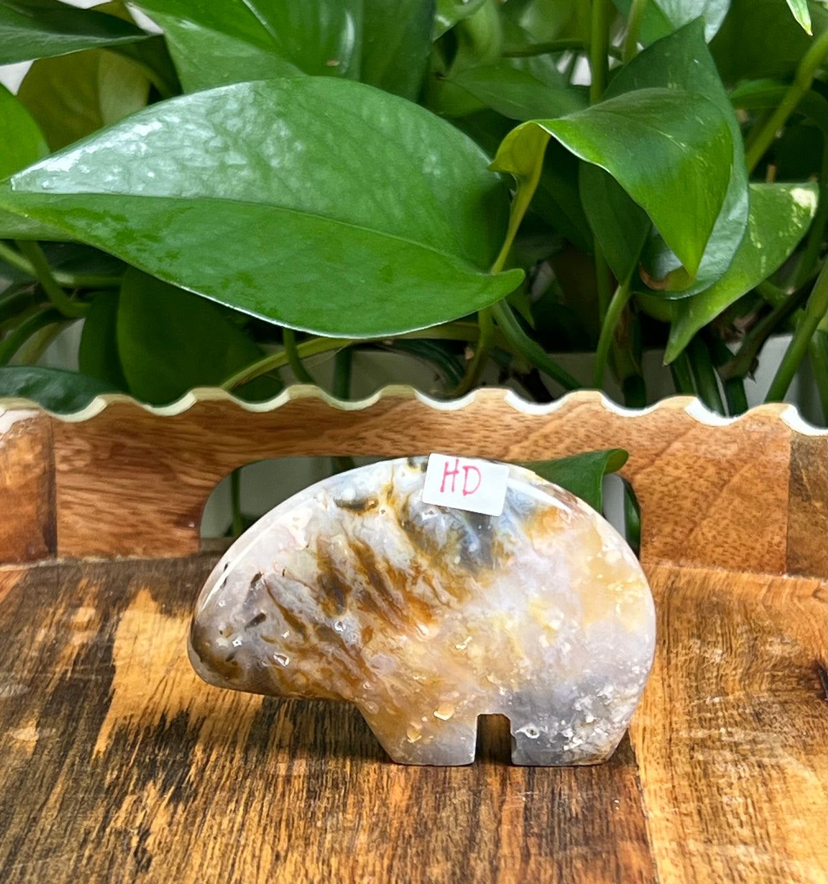 Rainbow Plume Agate Bears