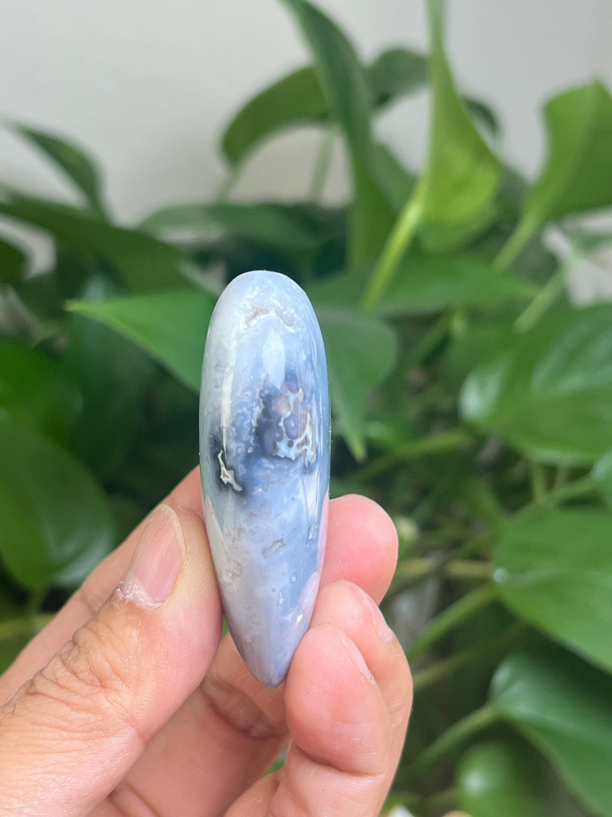 Blue Plume Agate Palmstone: Ri