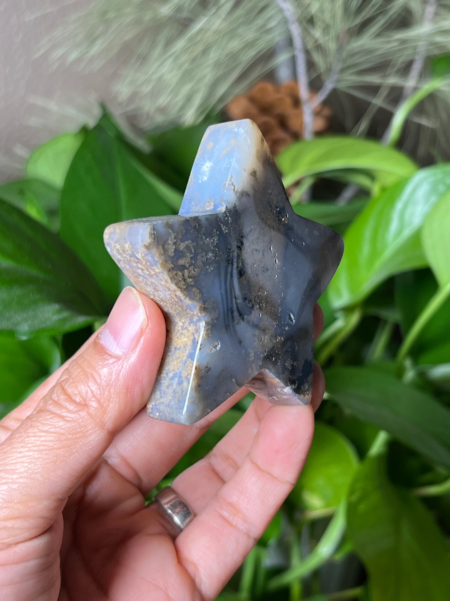 Dendritic Tiger Star