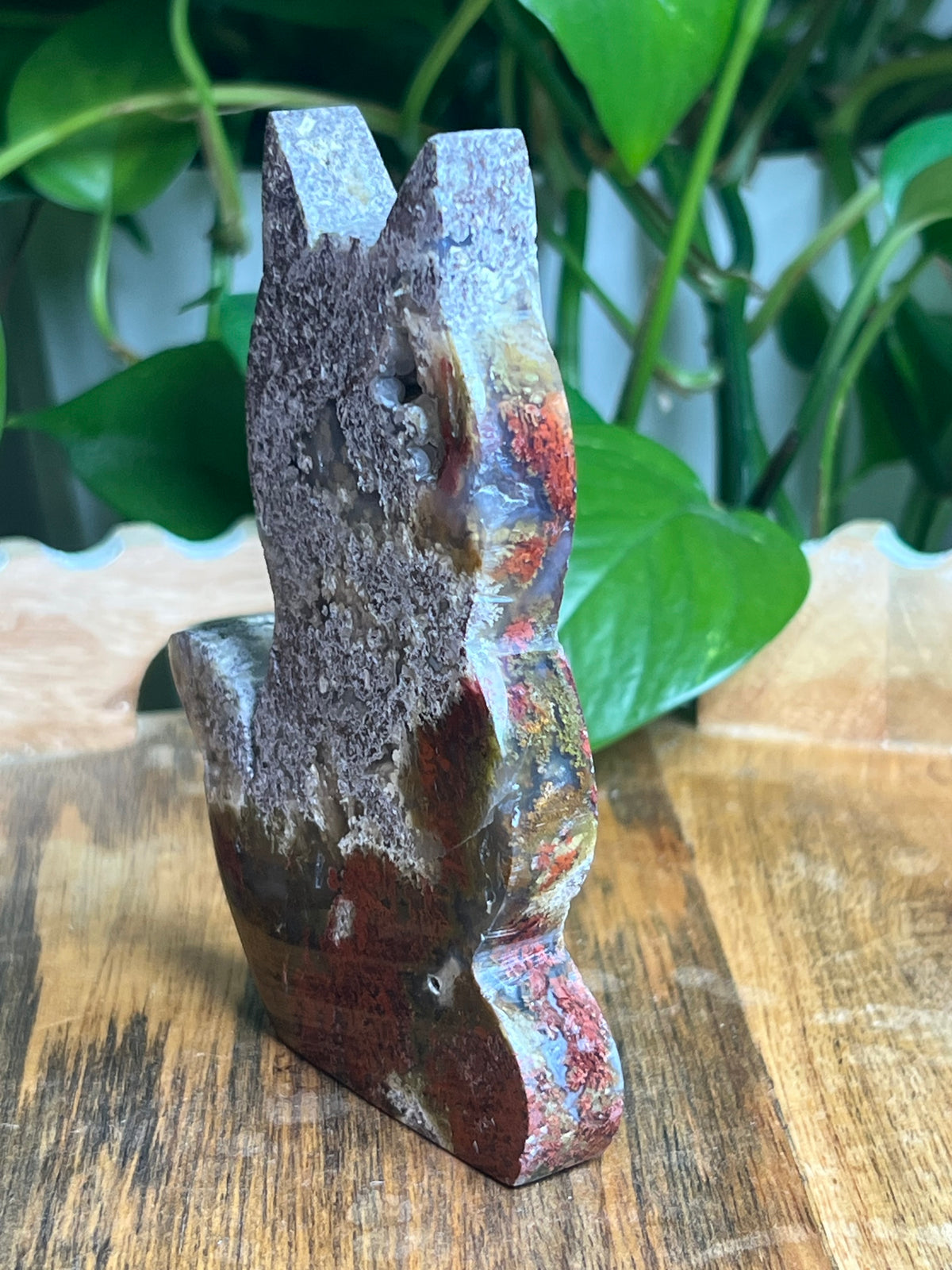 Scenic Moss Agate Cat: AP