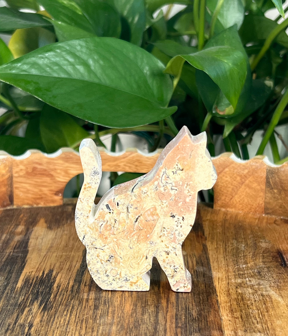 Peachy Pink Dendritic Jasper Cats