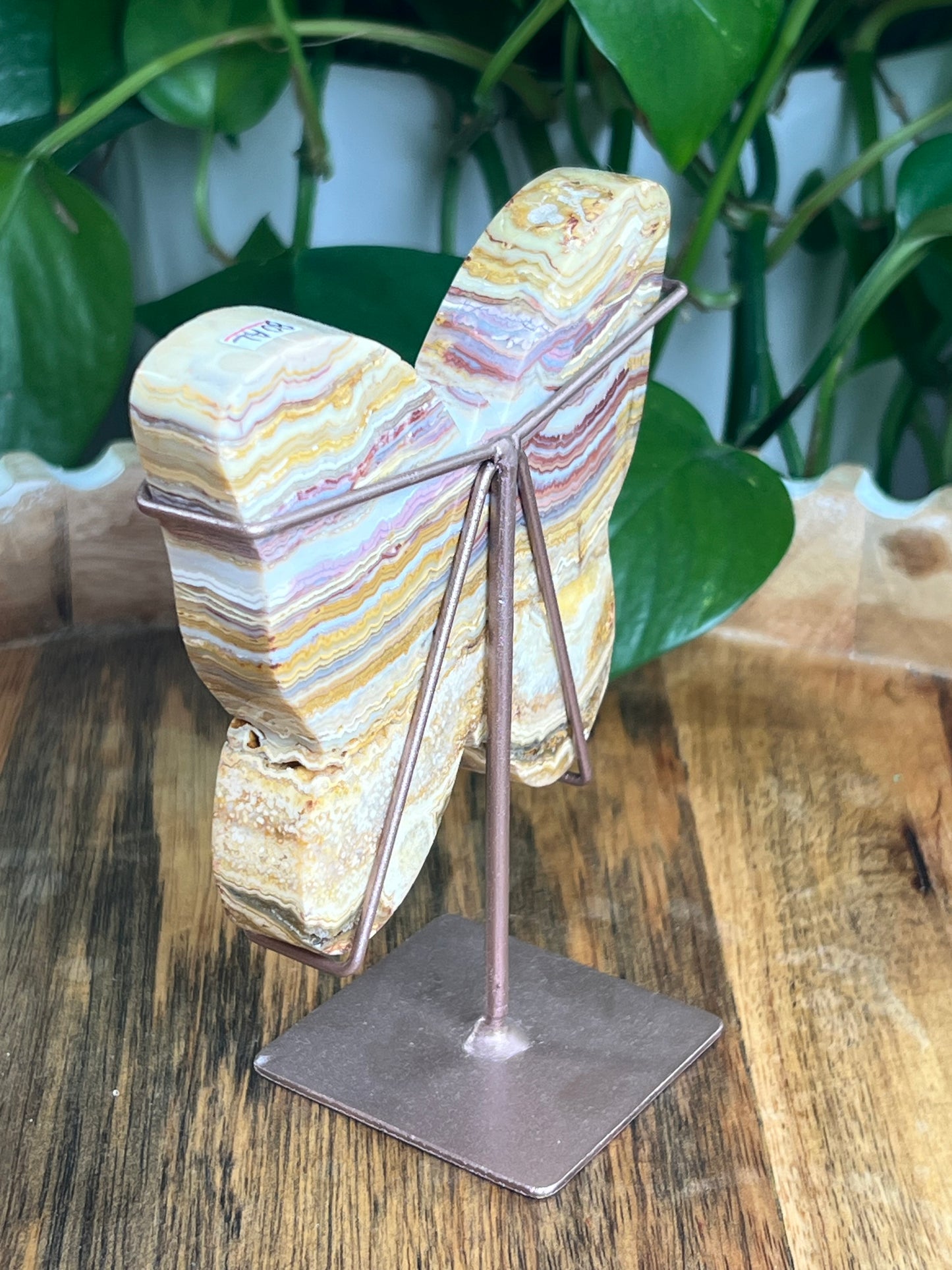 Crazy Lace Agate Butterfly: AL