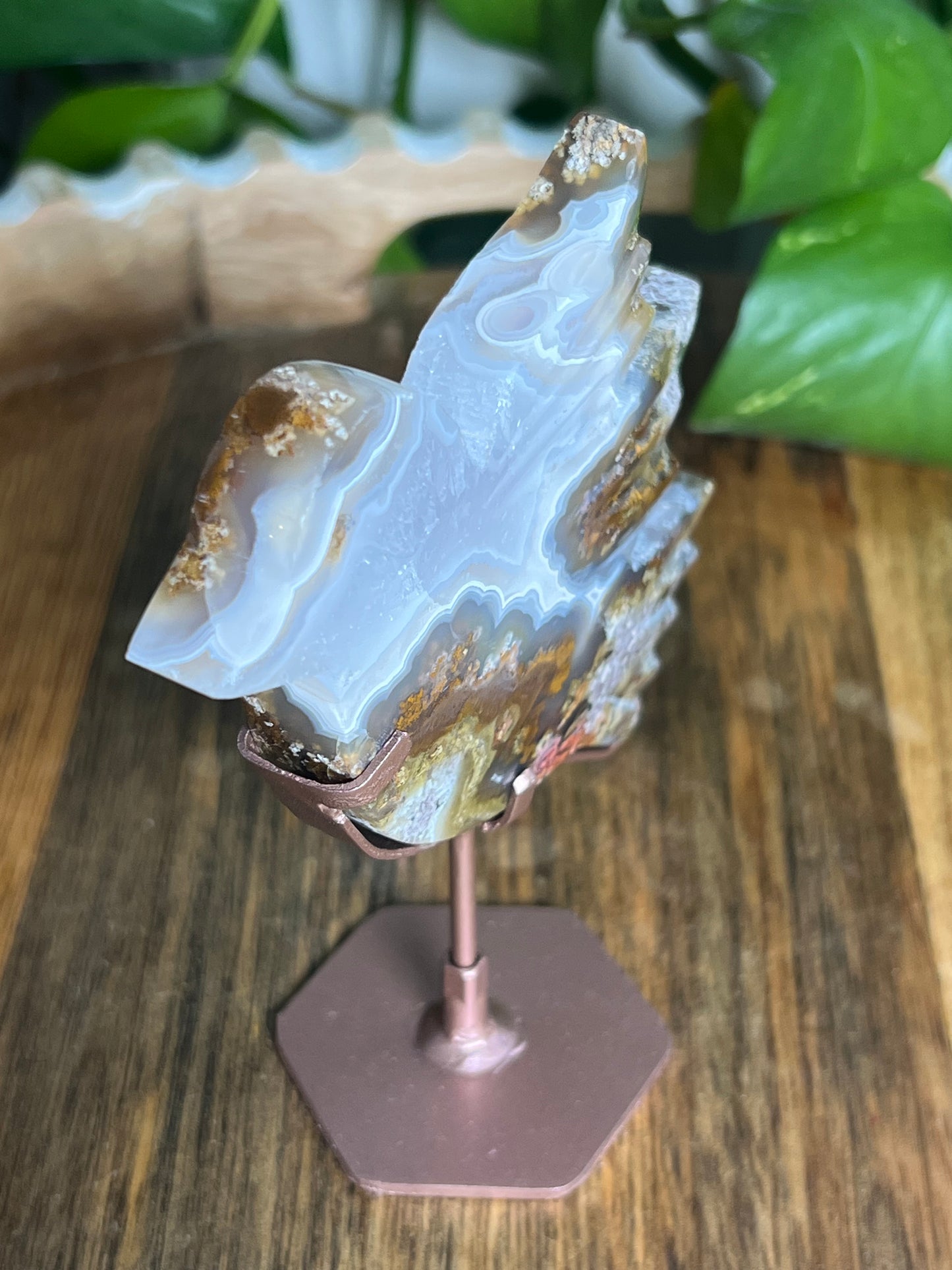 Scenic Moss Agate Bird
