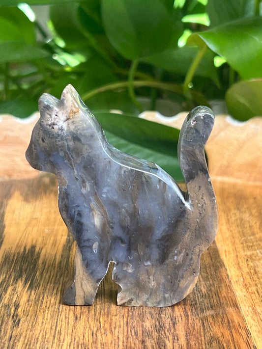 Dendritic Tiger Agate Cat: BG