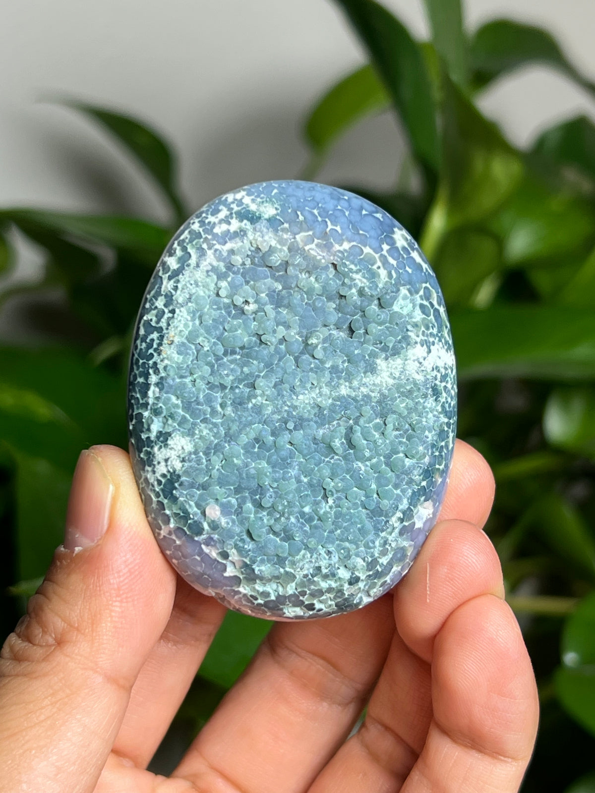 Grape Agate Palmstone: TA