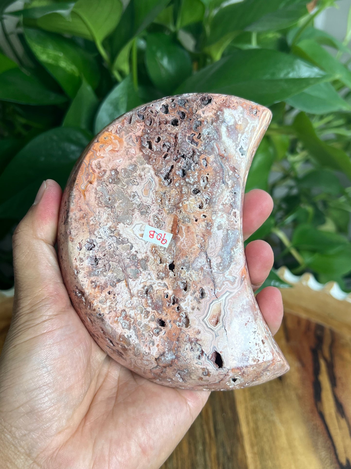 Crazy Lace Agate Moon Bowl: B