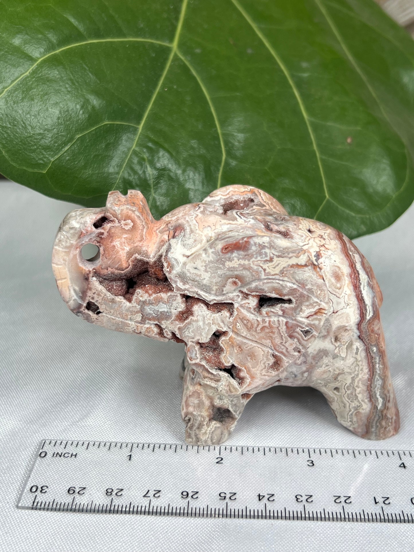 Crazy Lace Agate Elephant