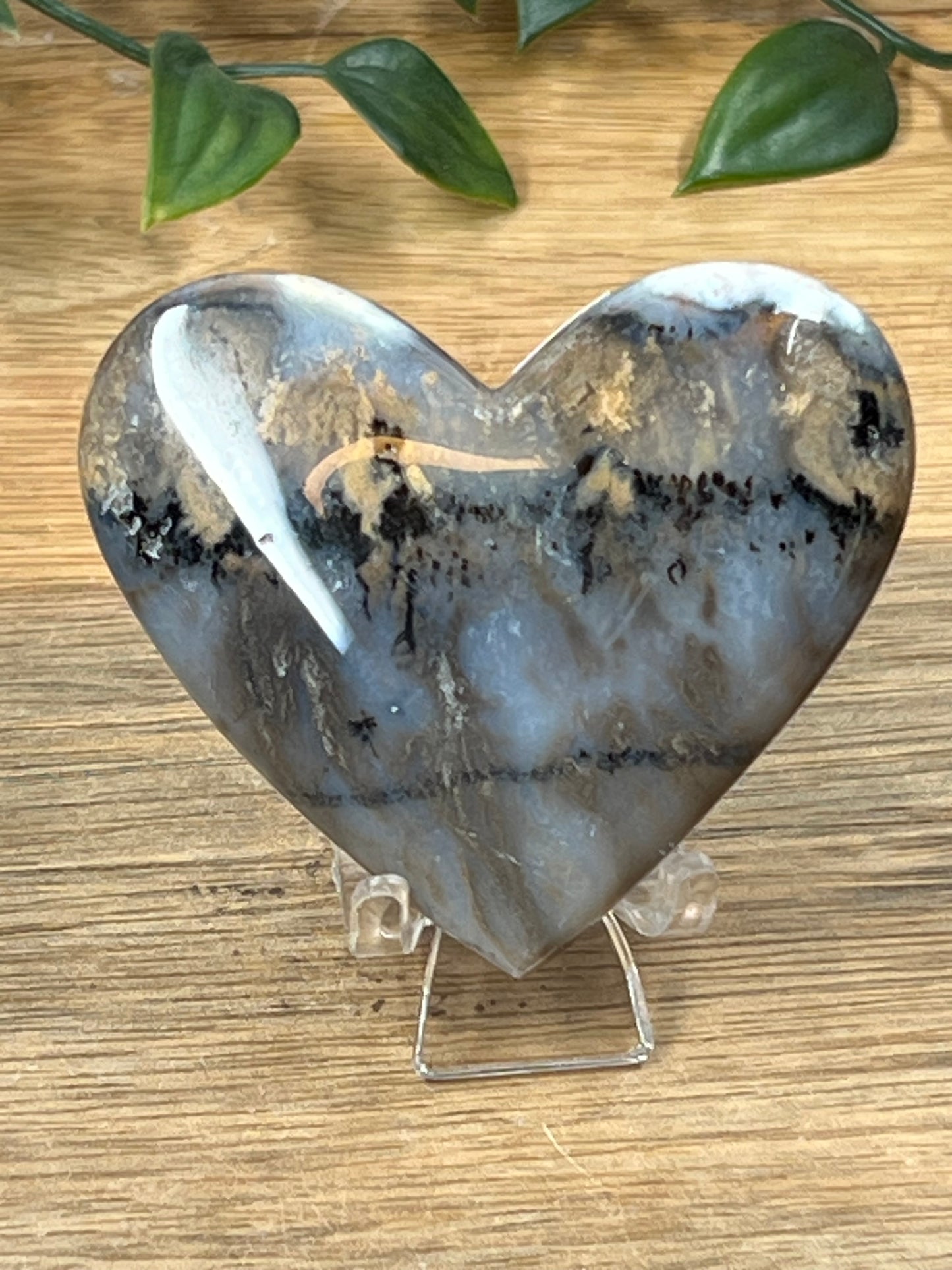 Dendritic Tiger Agate Heart