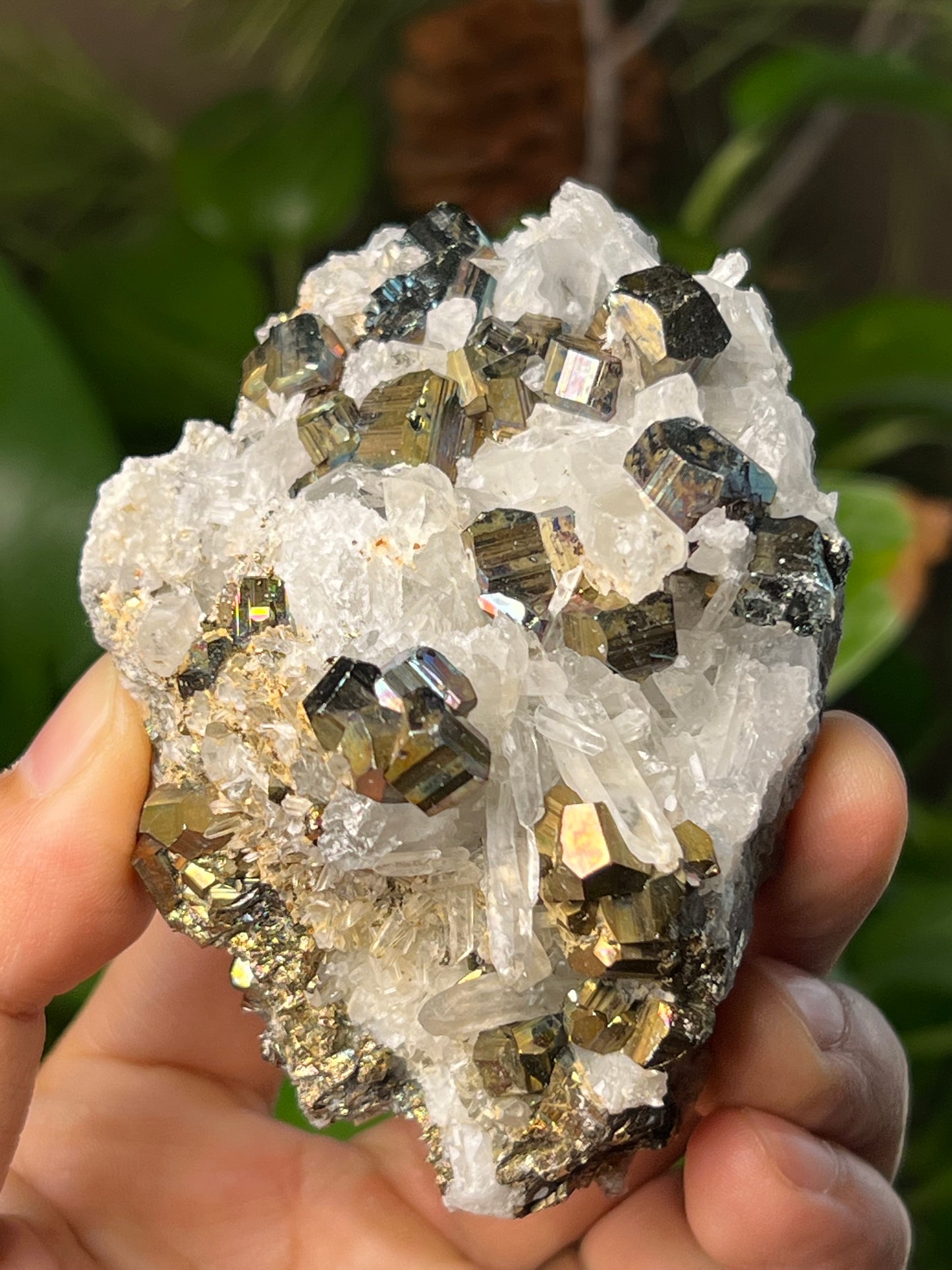 Rainbow Pyrite Quartz