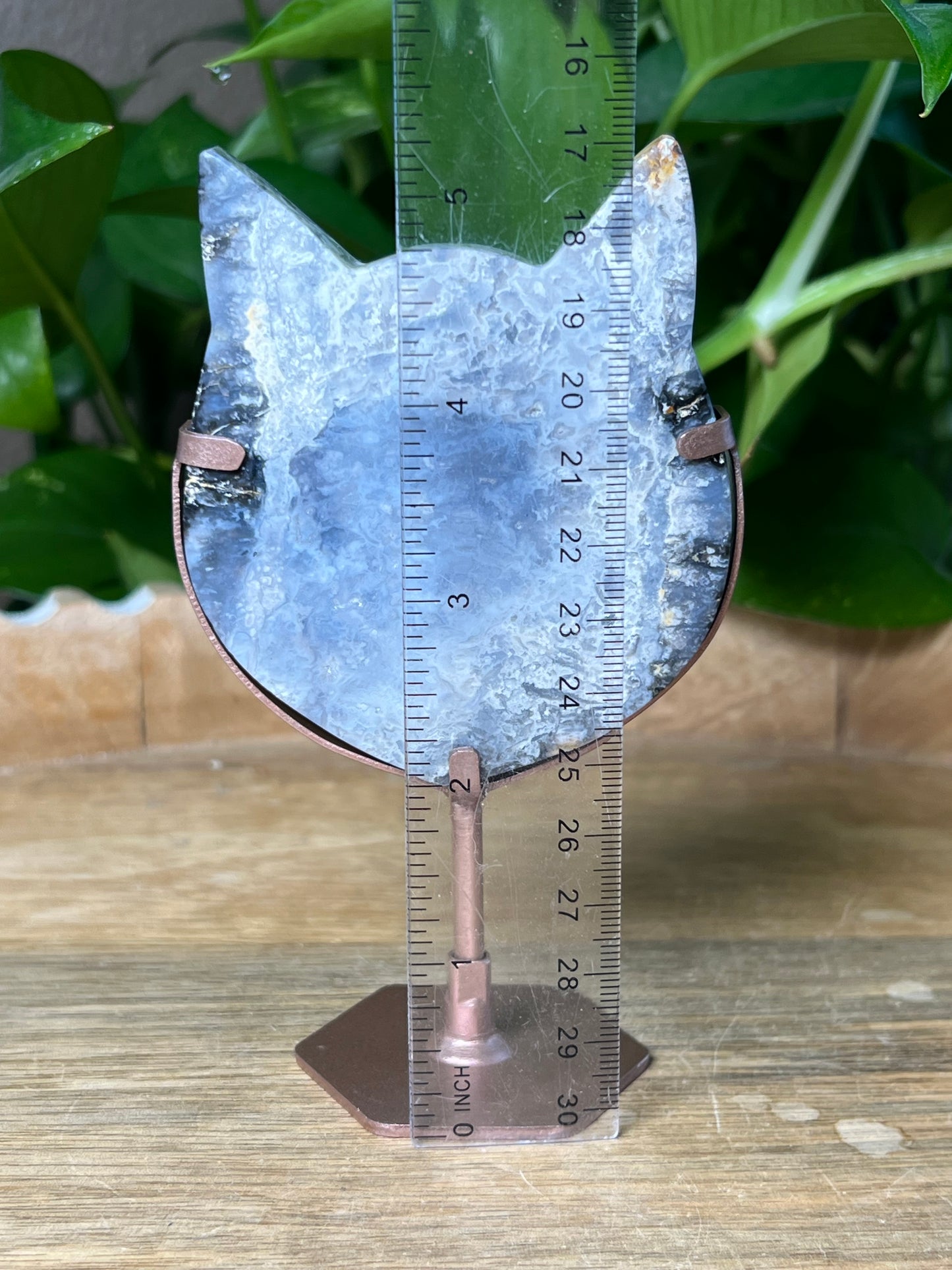 Blue Plume Agate Cat