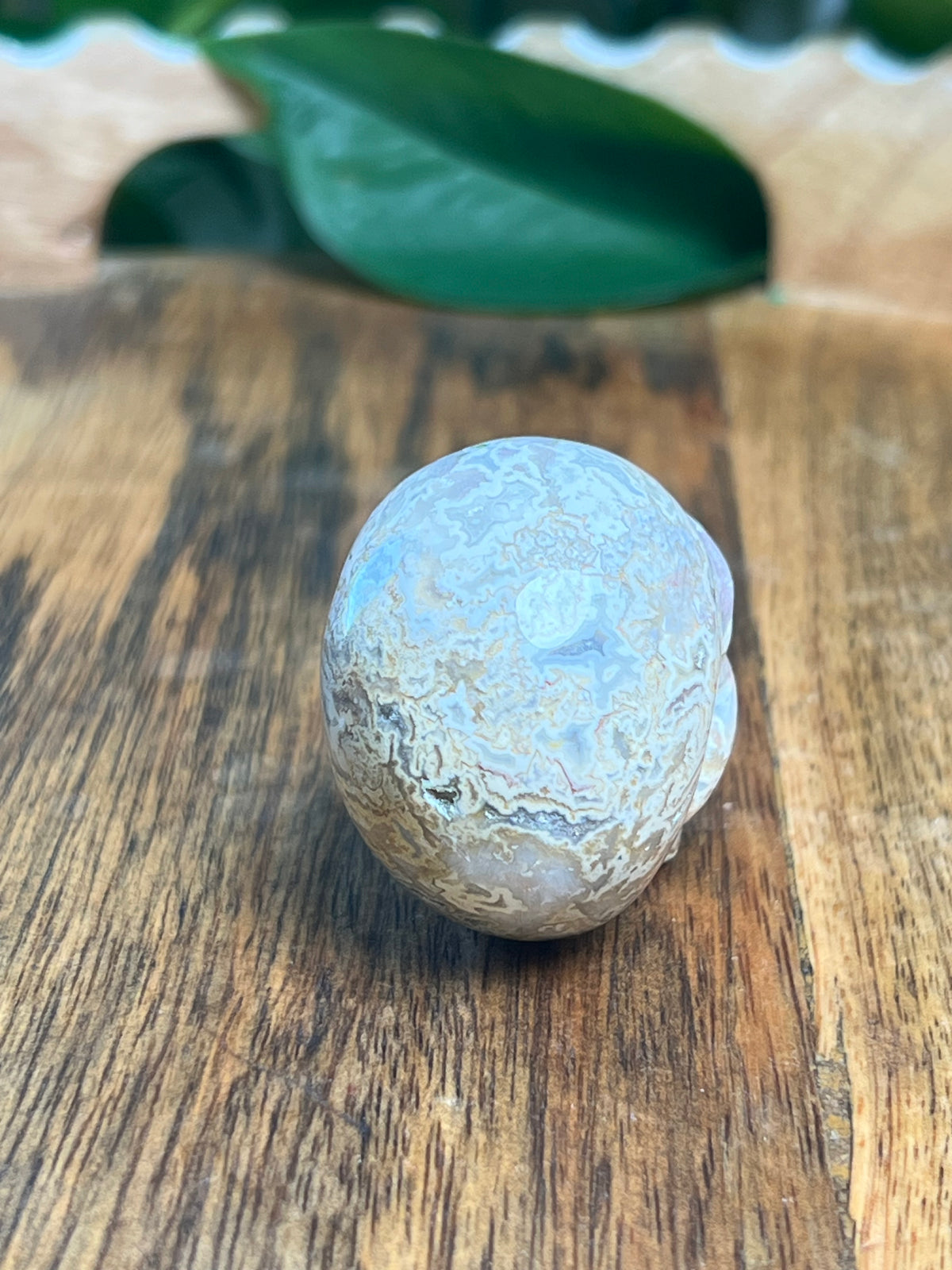 Sumatra Plume Agate Mini Skull: D