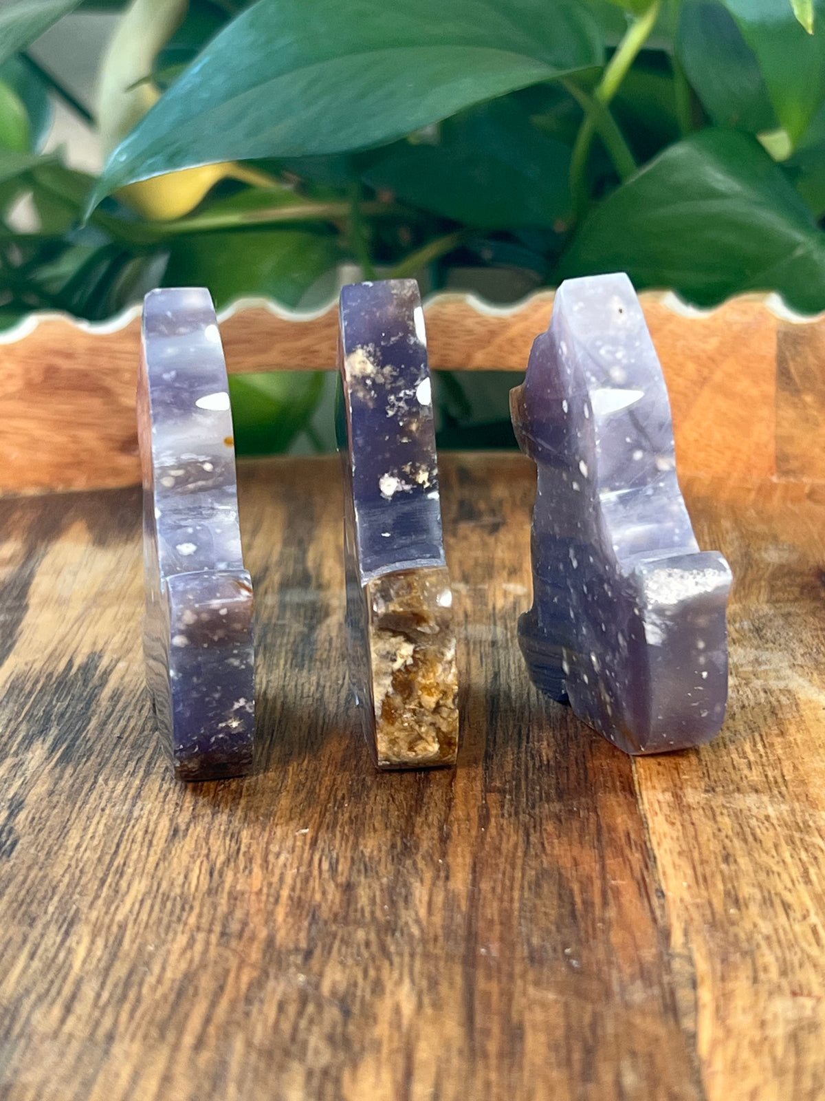 Purple Chalcedony Dogs