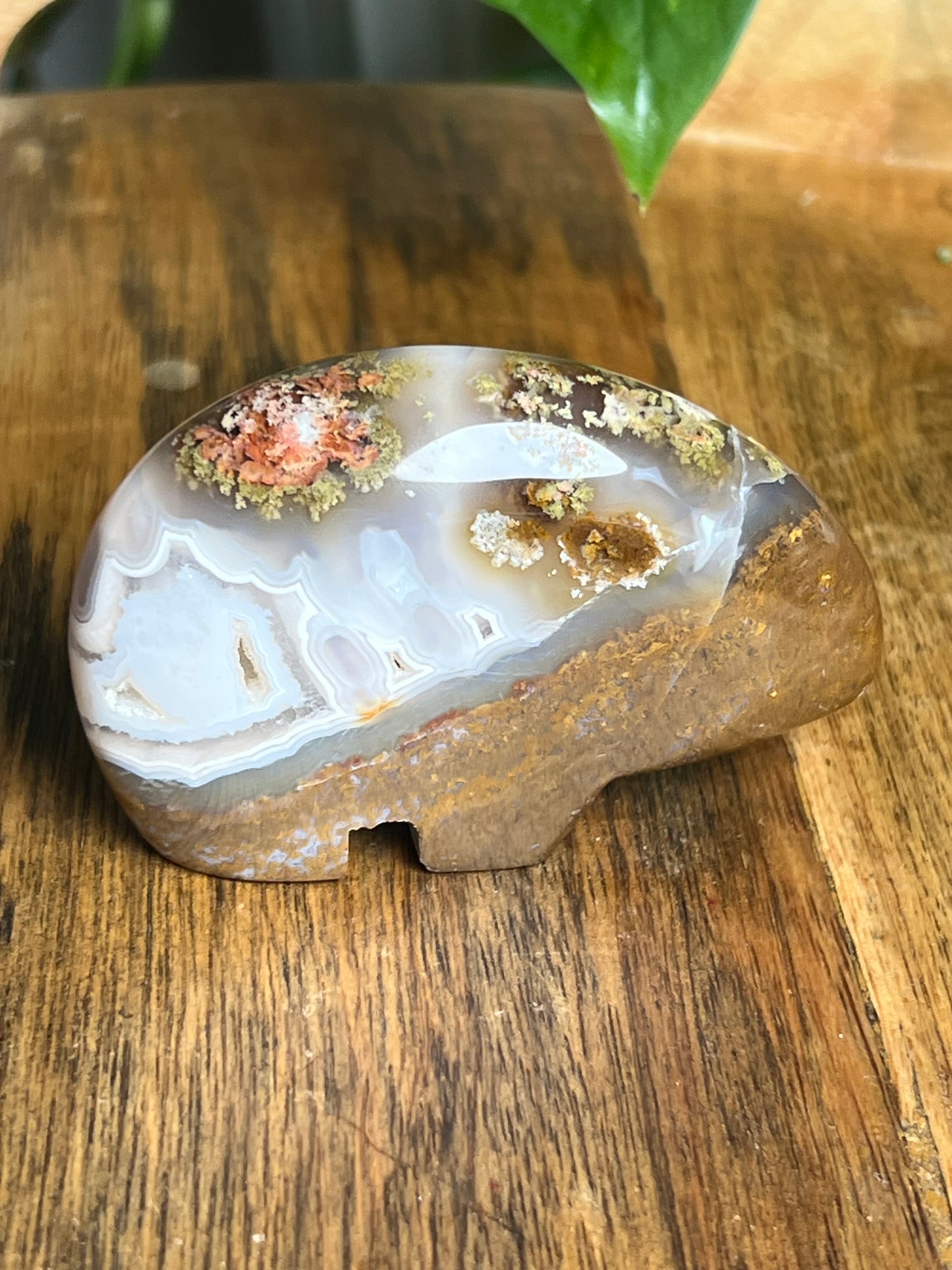 Scenic Moss Agate Bear HF