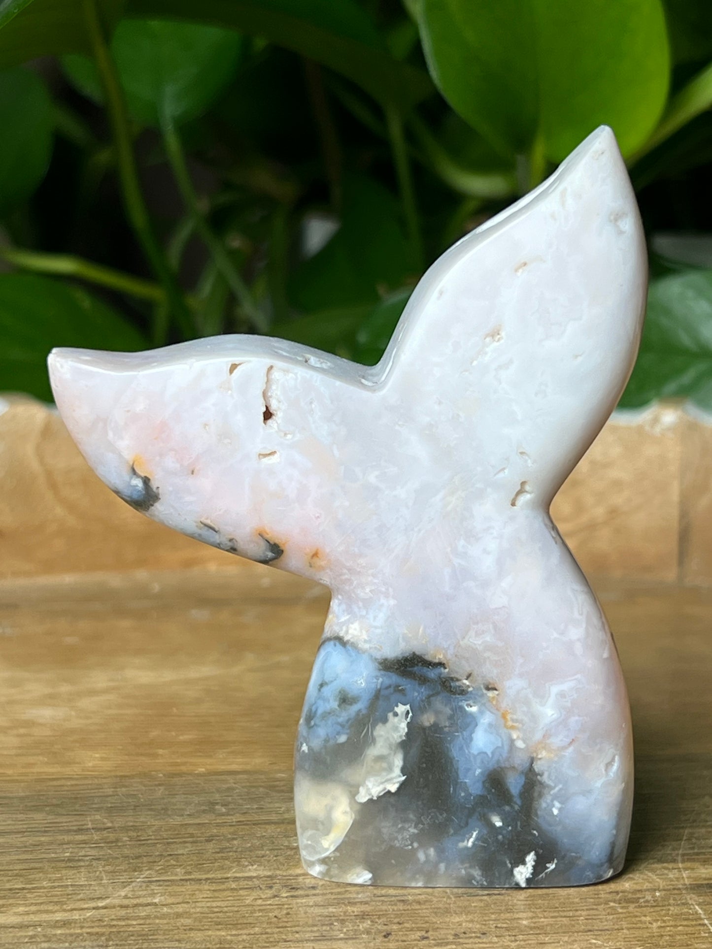 Rainbow Plume Agate Tail: RA