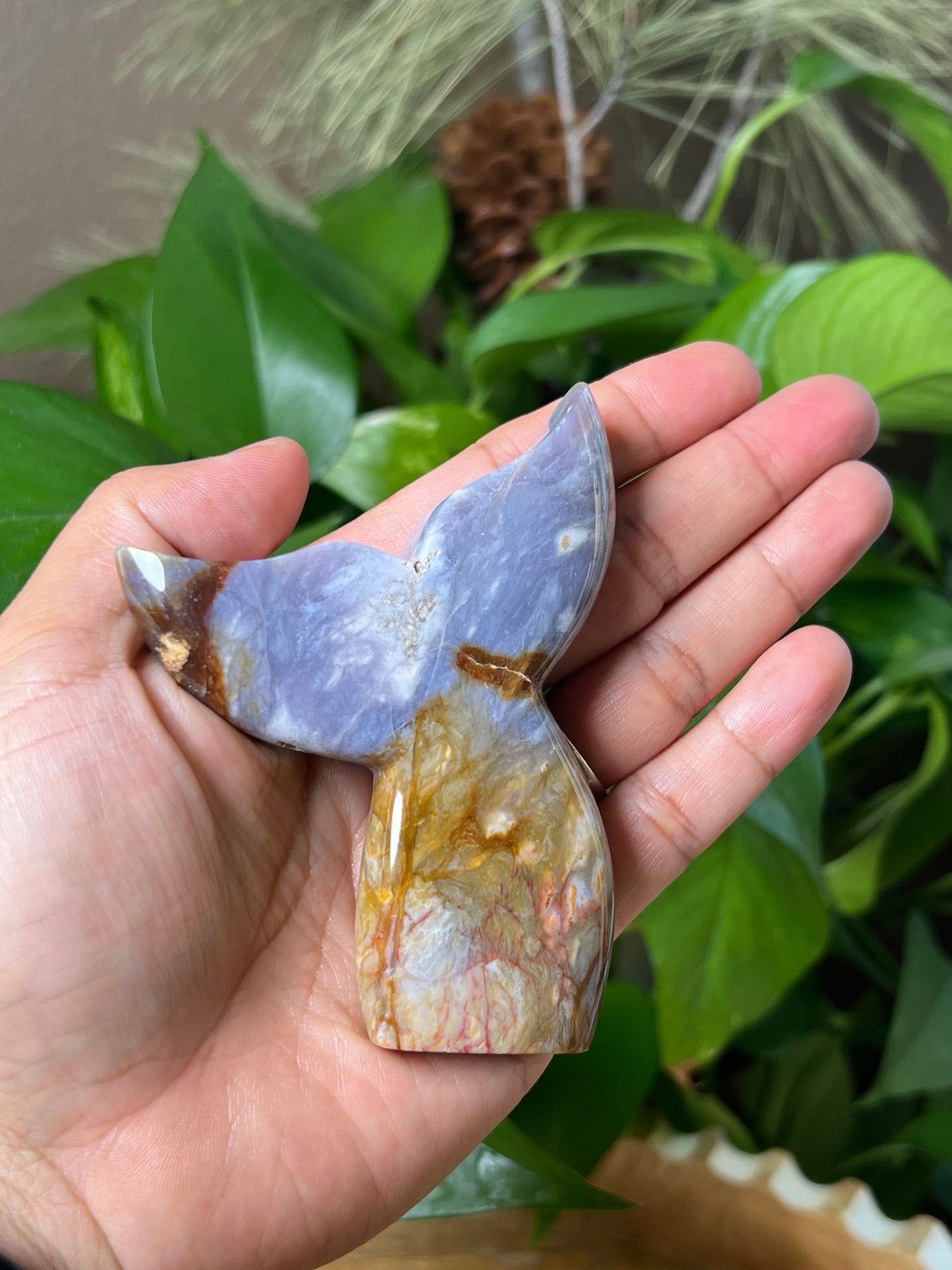 Purple Chalcedony Tail