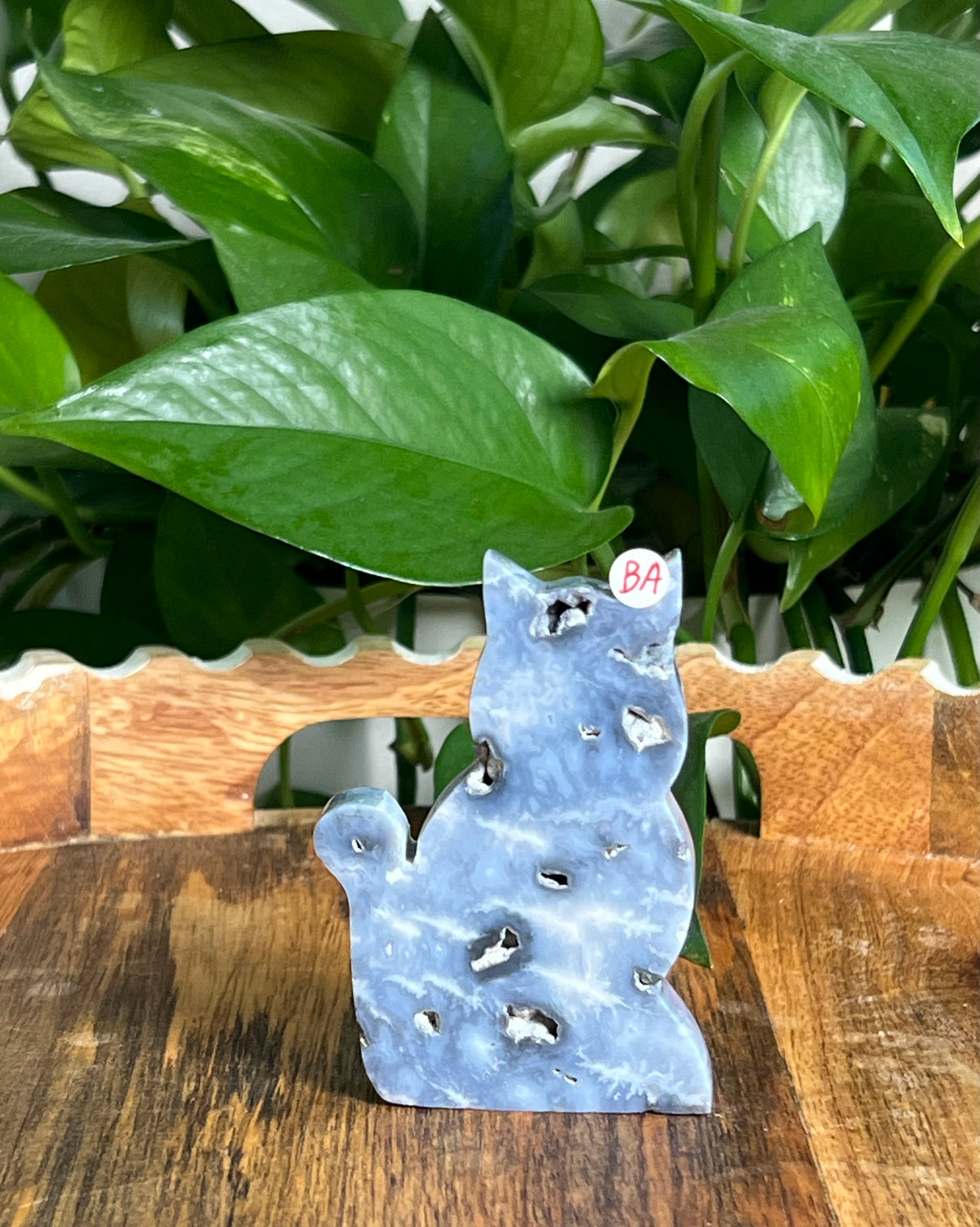 Blue Plume Agate Cats