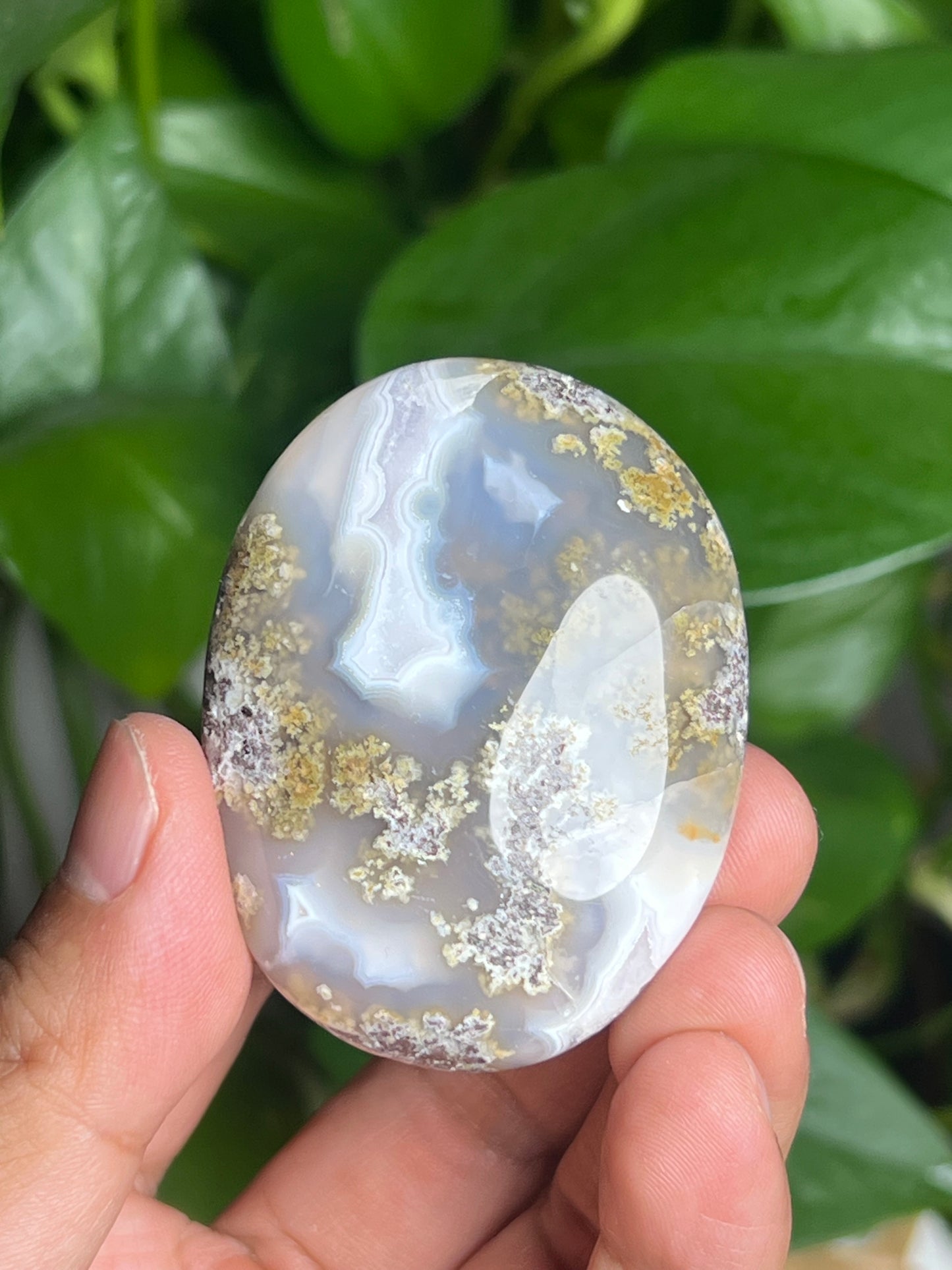 Scenic Moss Agate Palmstone: BQ