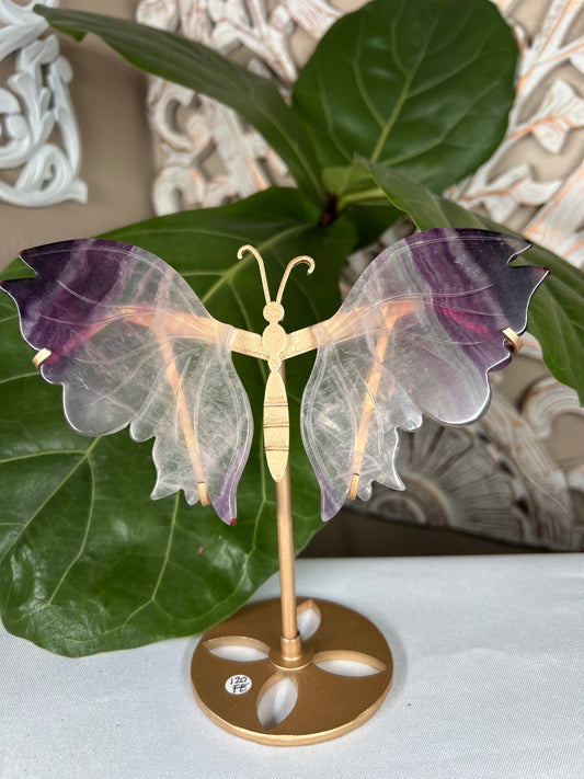Fluorite Wings