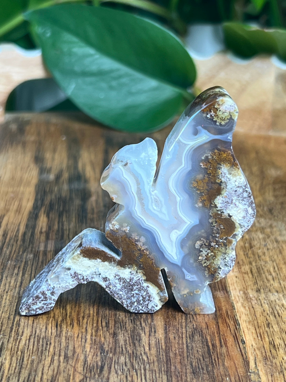 Scenic Moss Agate Pixie Fairy: M