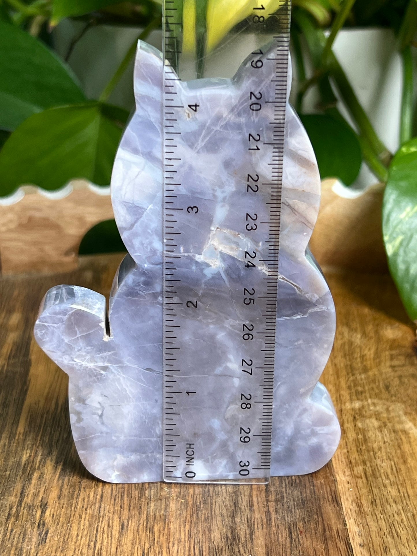 Purple Chalcedony Cat PX