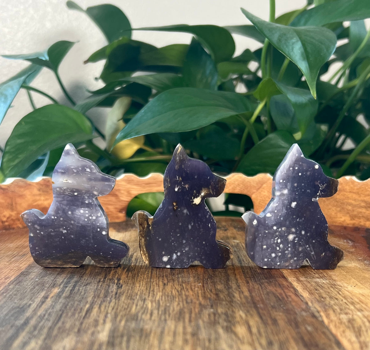 Purple Chalcedony Dogs