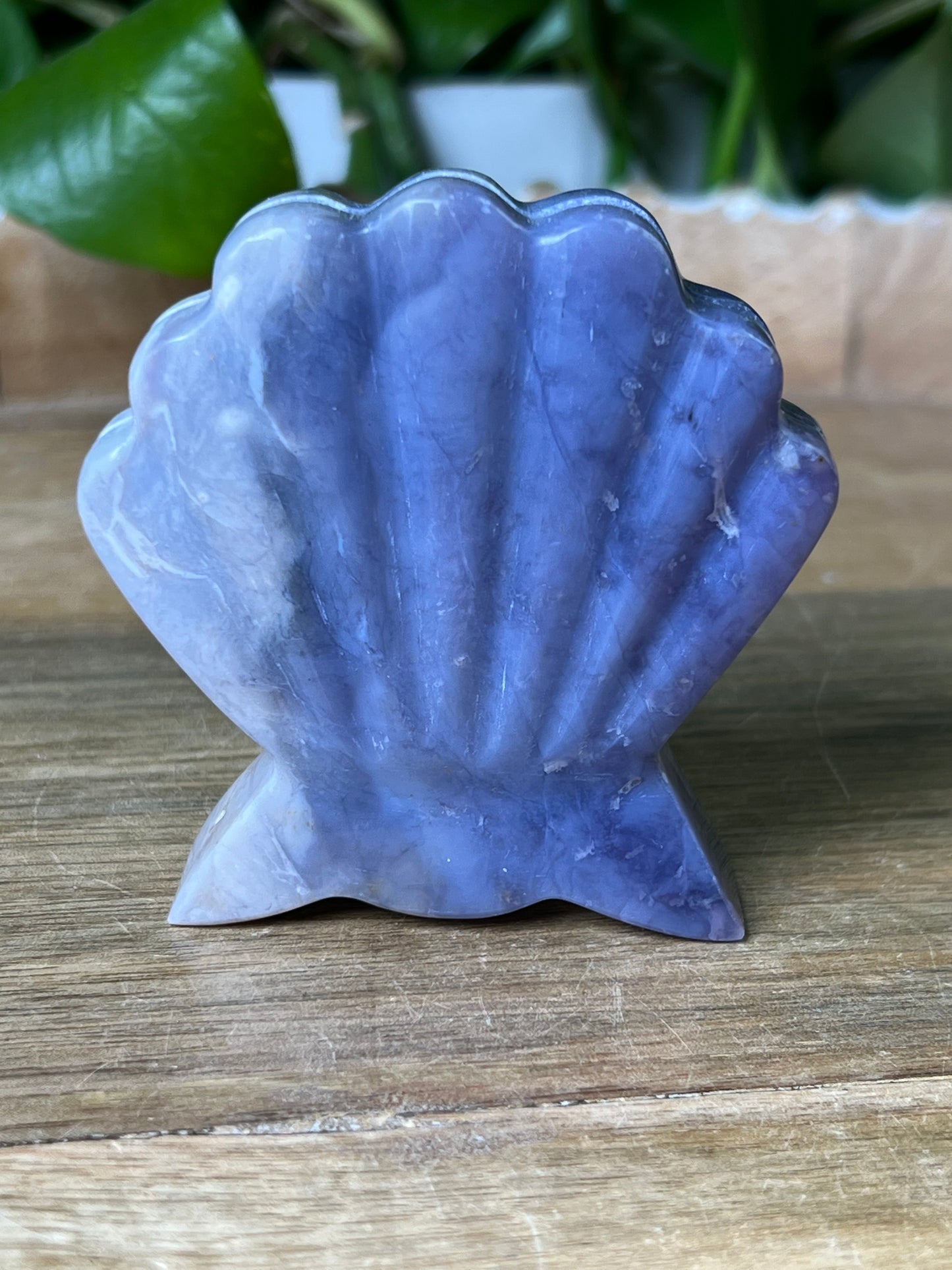 Purple Chalcedony Shell
