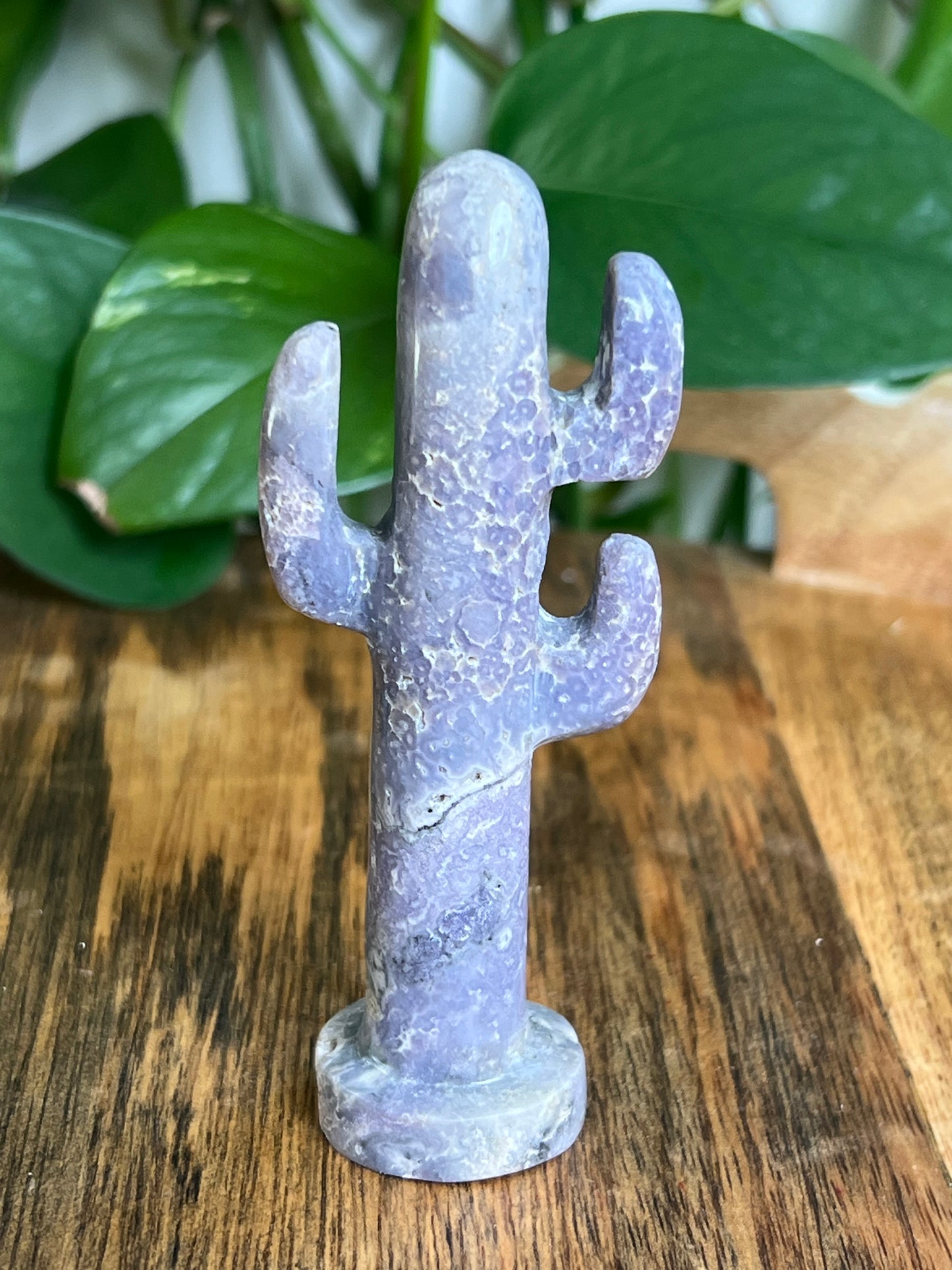 Grape Agate Cactus: AX