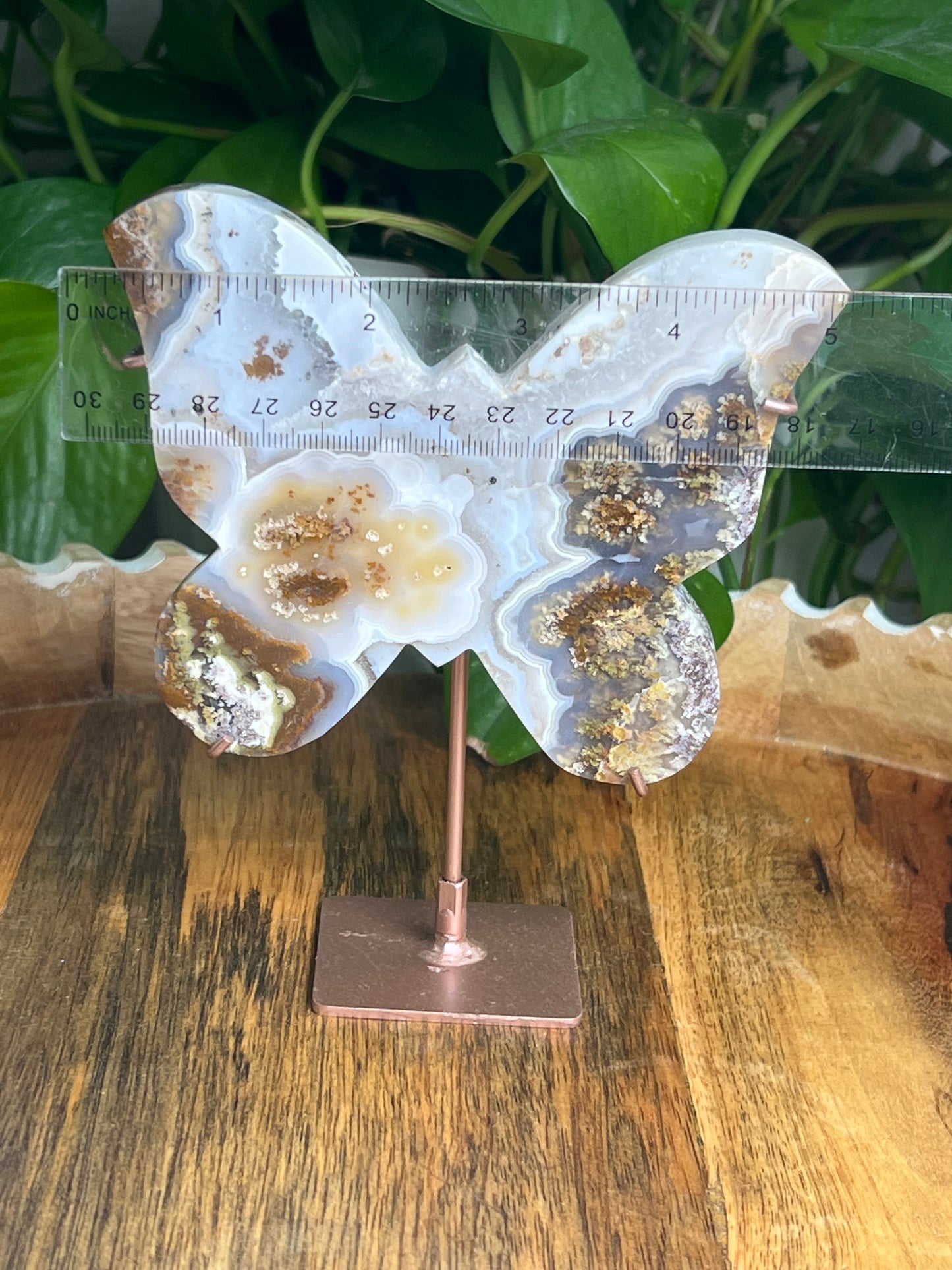 Scenic Moss Agate Butterfly: A