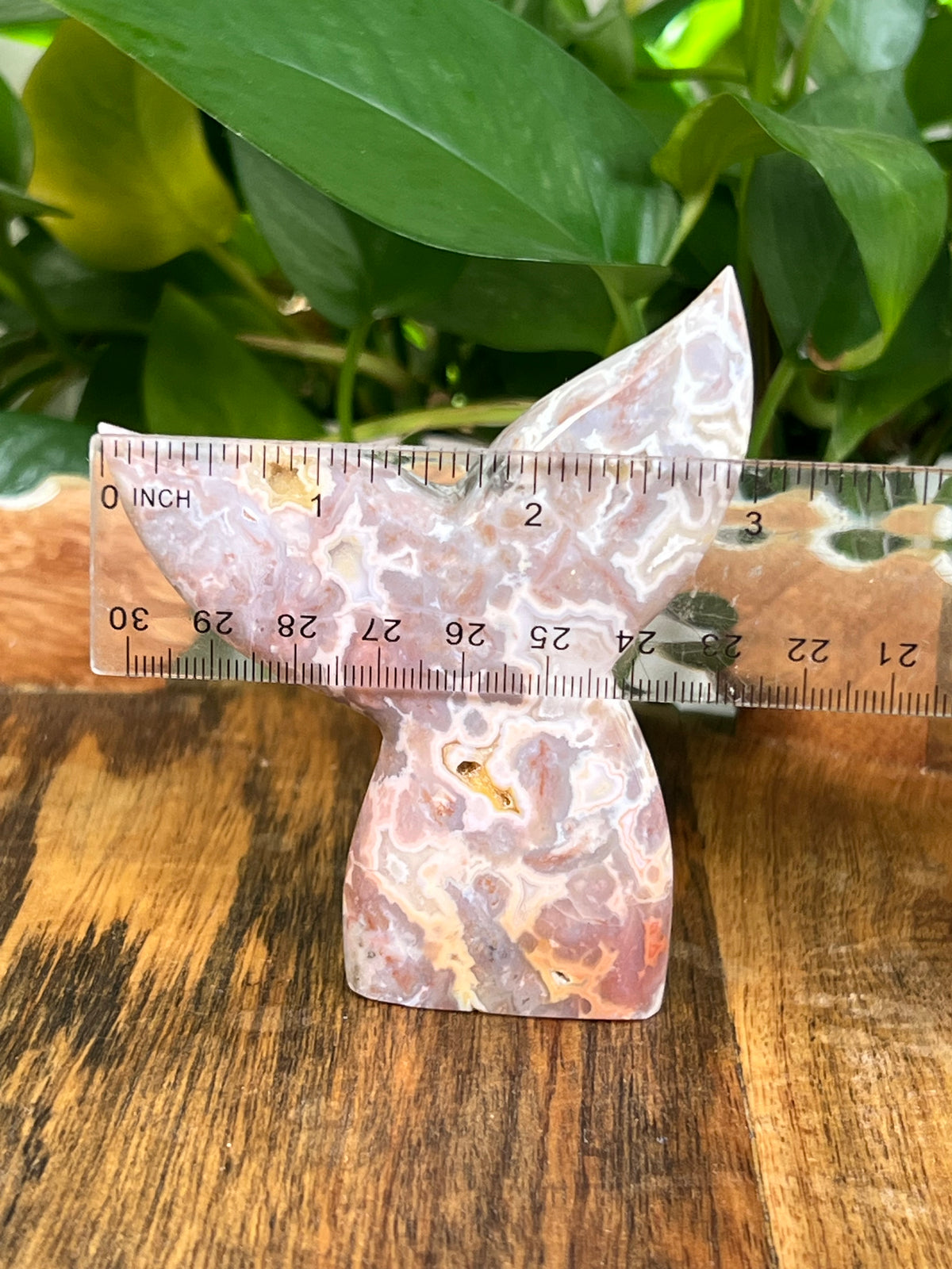 Sumatra Plume Agate Tails