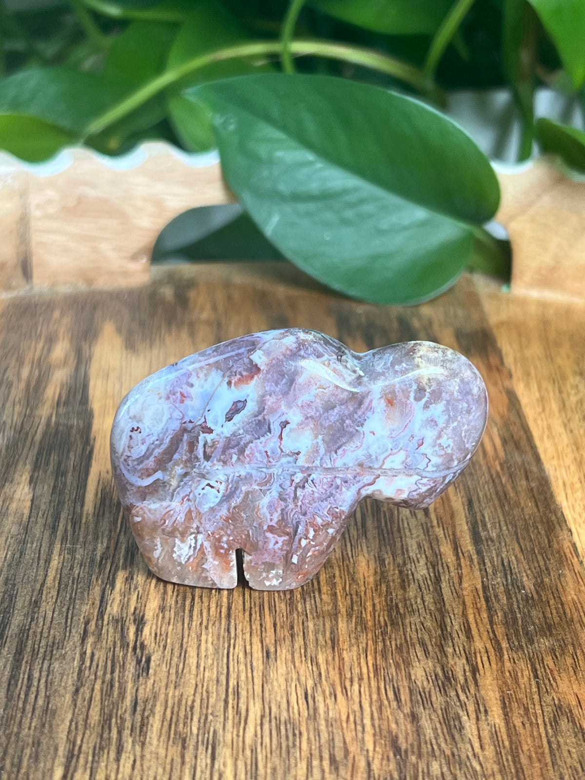 Sumatra Plume Agate Mini Buffalo: DE