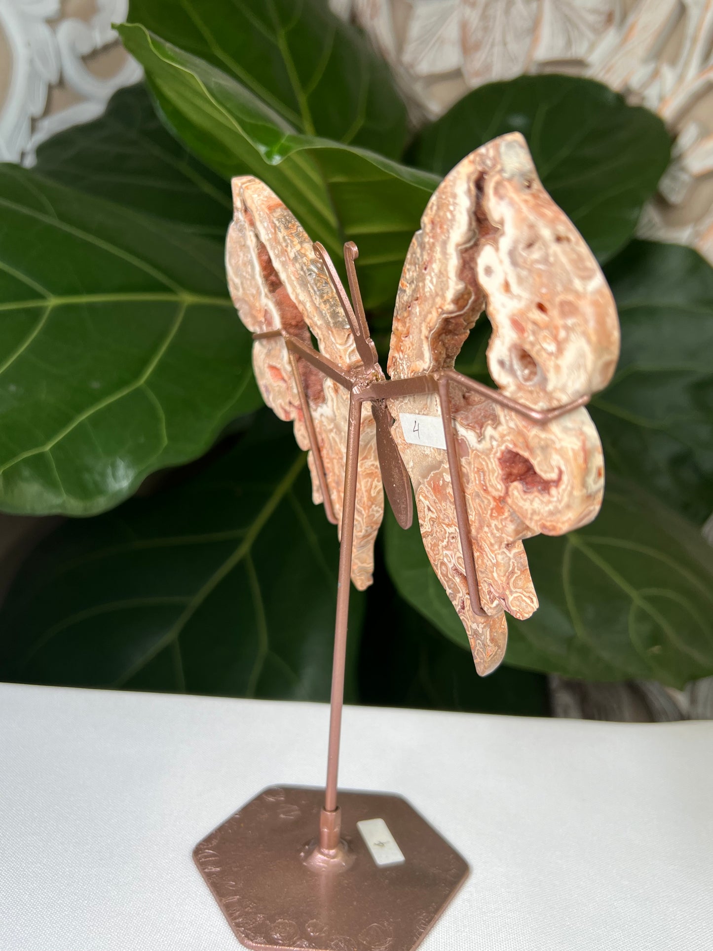 Crazy Lace Agate Wings