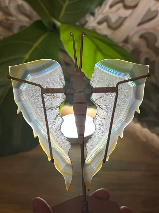 Iris Agate Wings