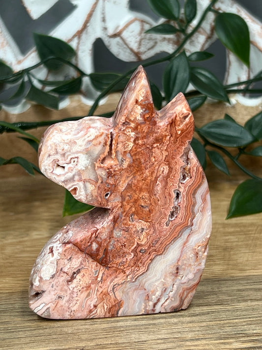Crazy Lace Agate Unicorn