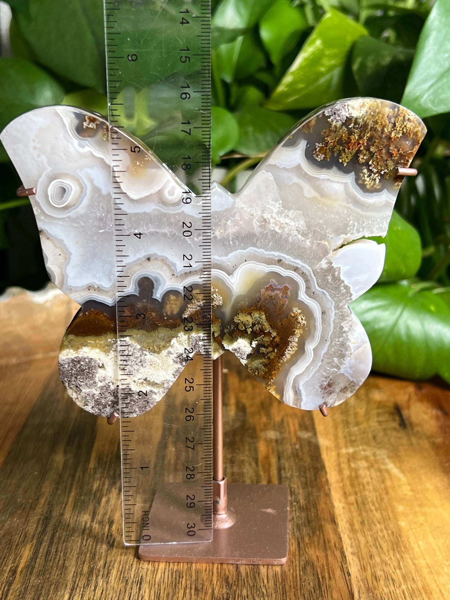 Scenic Moss Agate Butterfly