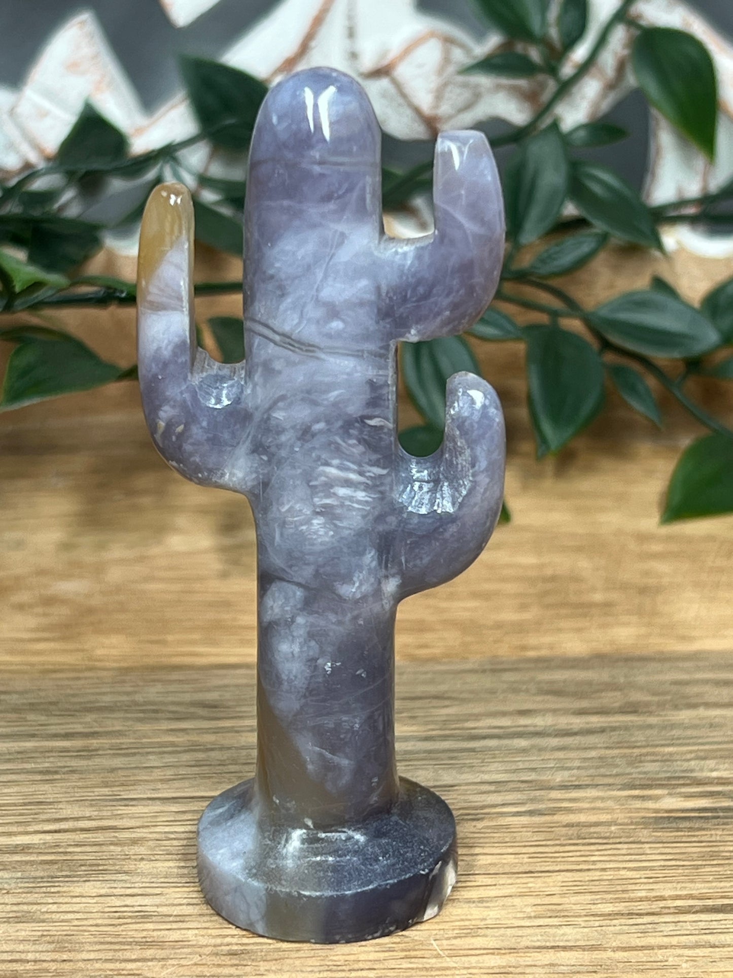 Purple Chalcedony Cactus