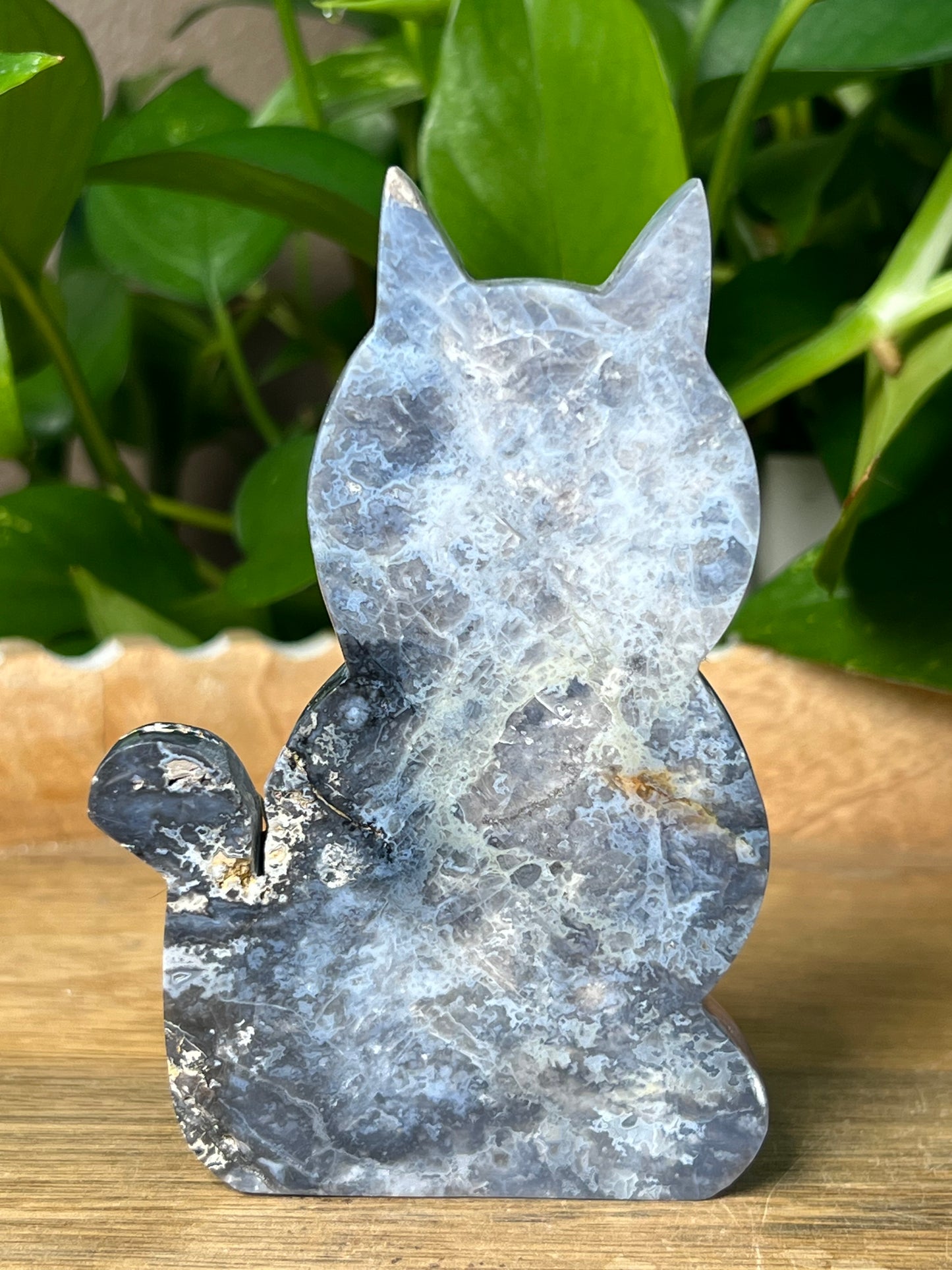 Blue Plume Agate Cat