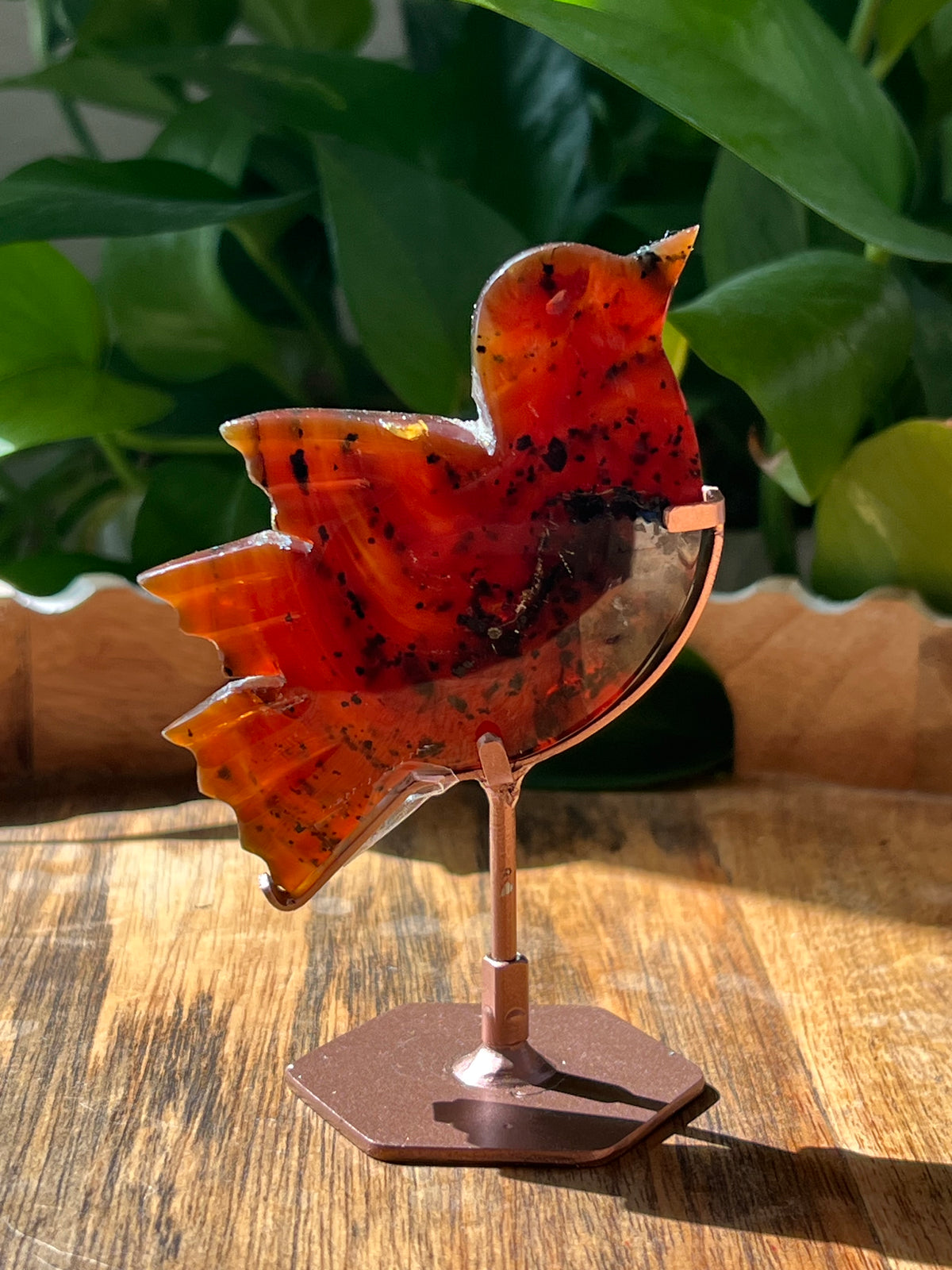 Blue Amber Bird: AK