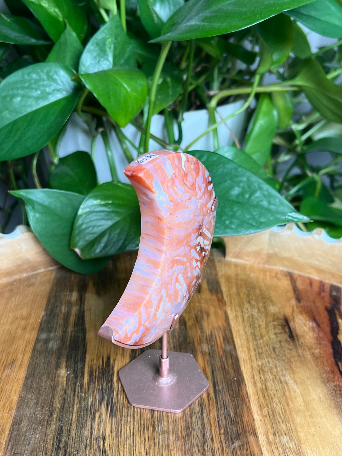Carnelian Moon: BQ