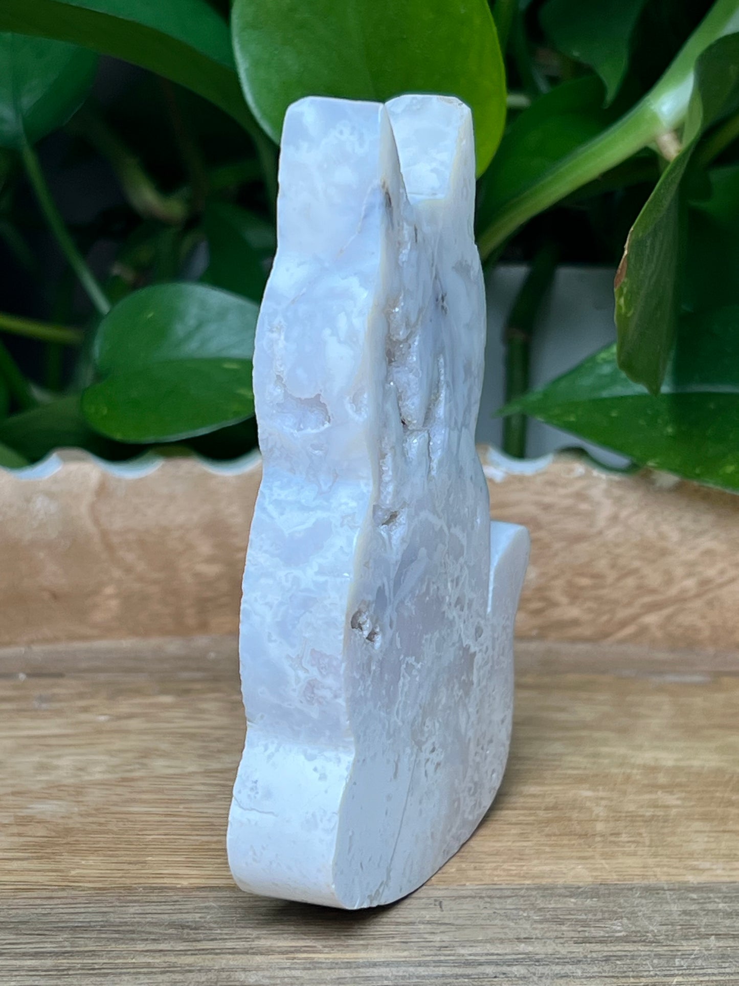 White Plume Agate Cat