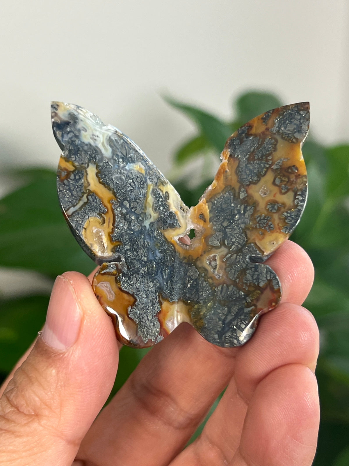 Marcasite 3D Butterflies