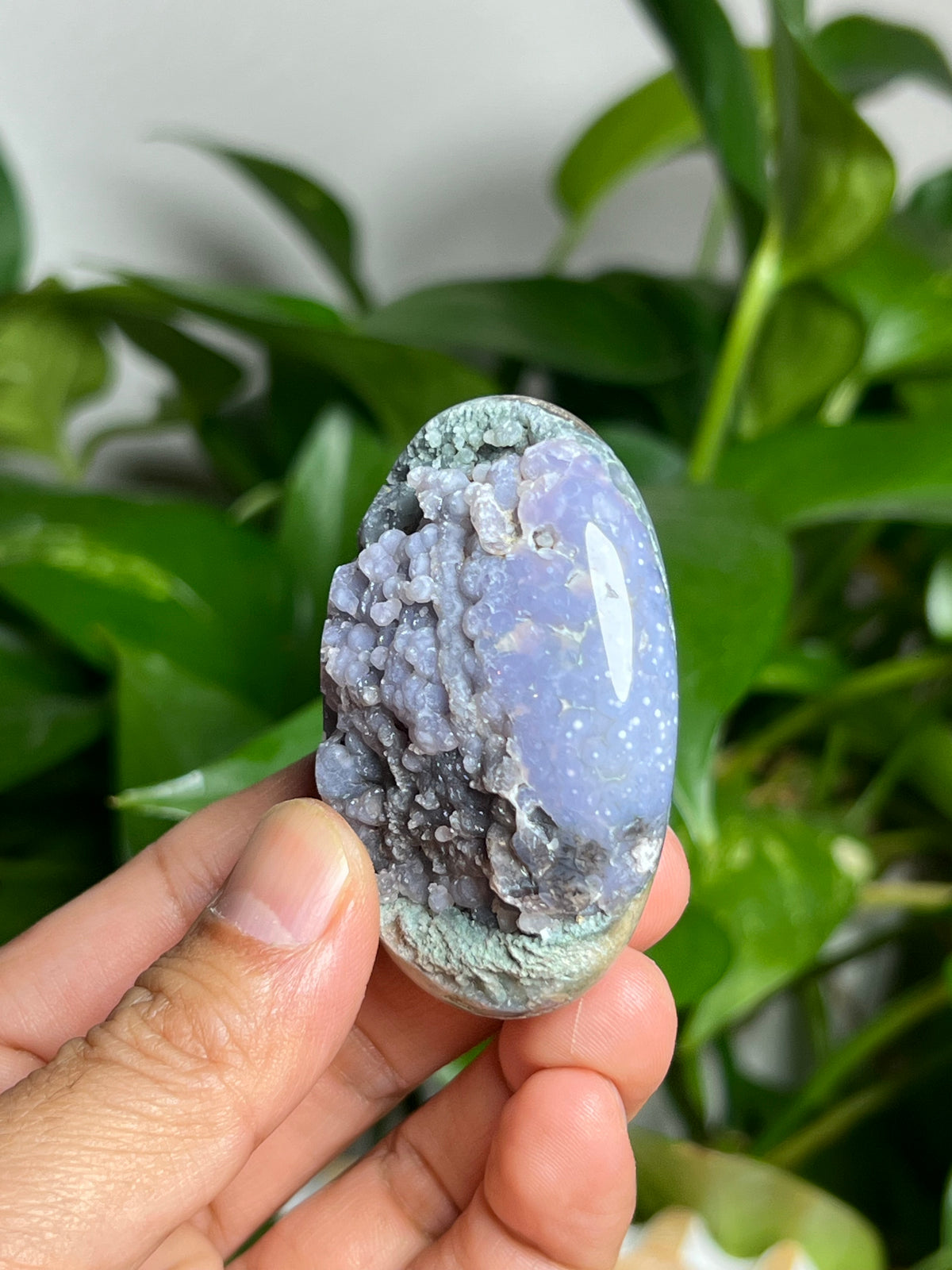 Grape Agate Palmstone: NA