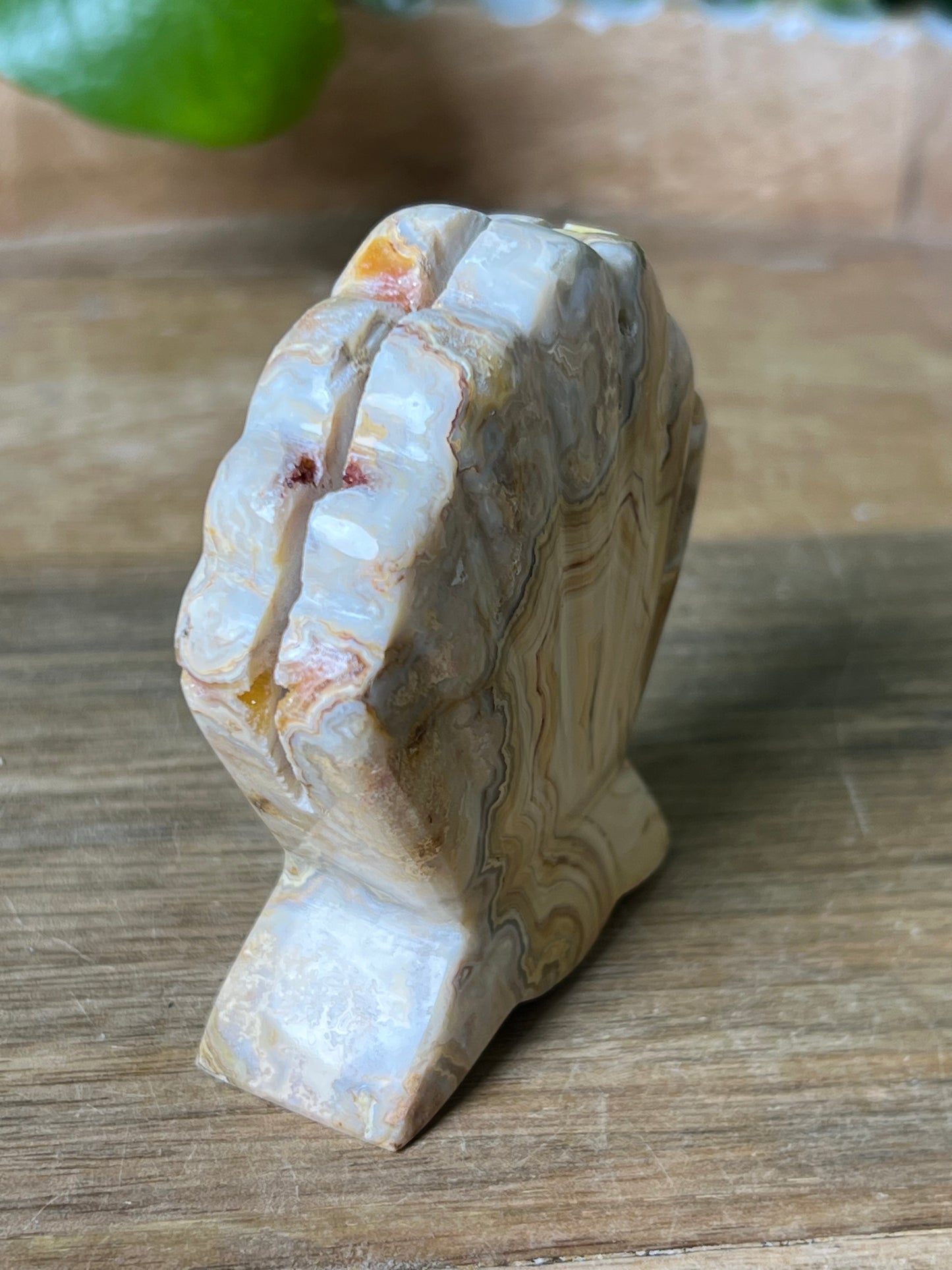 Crazy Lace Agate Shell