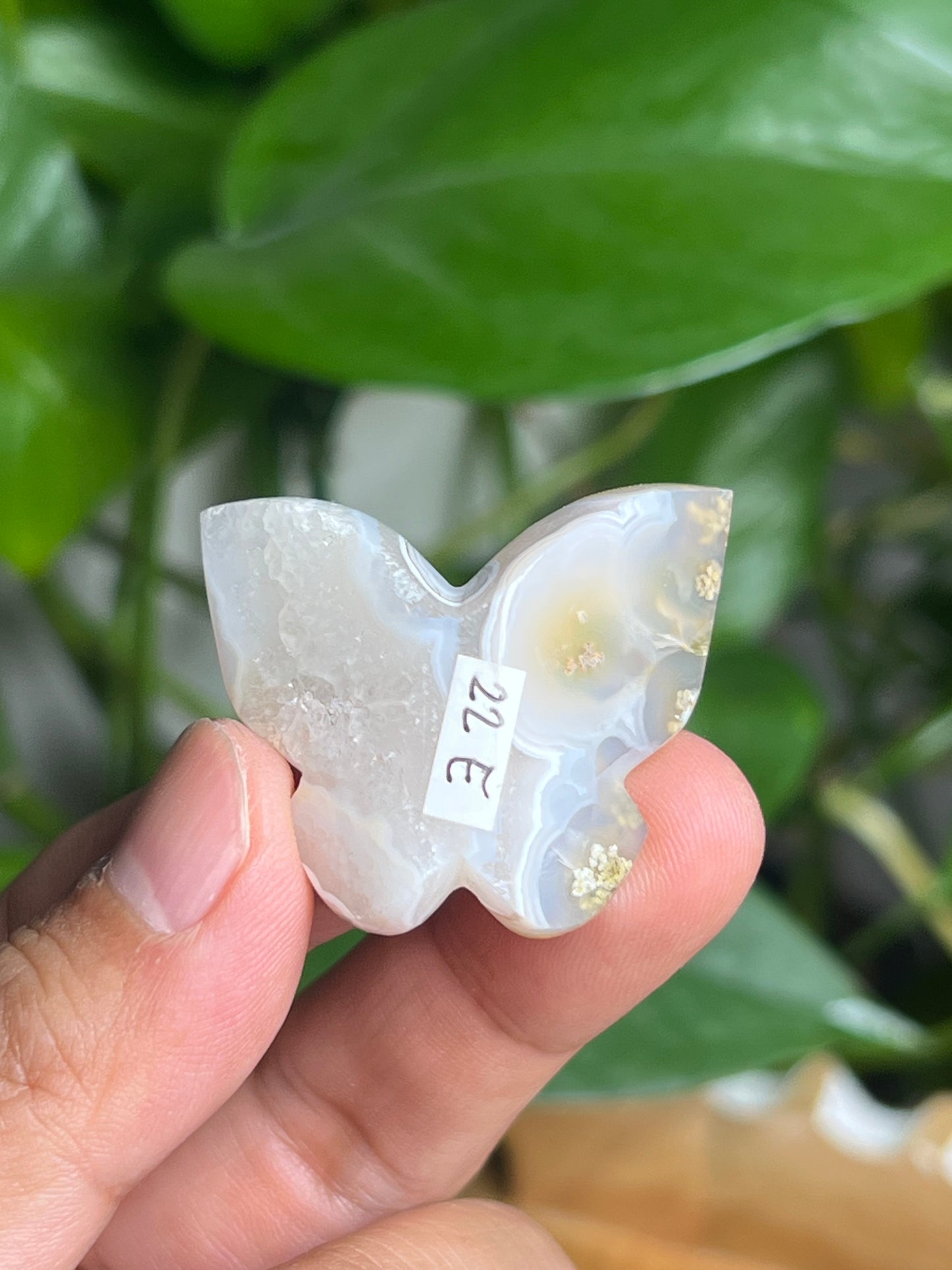 Scenic Moss Agate Mini Butterfly: E